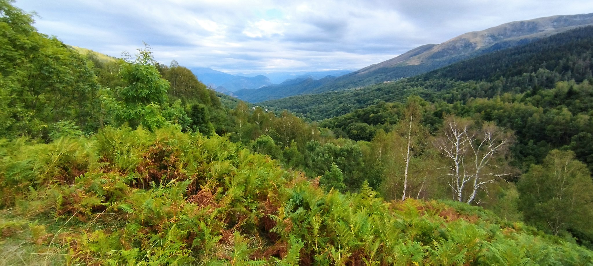 WEB IMG 20220908 182814