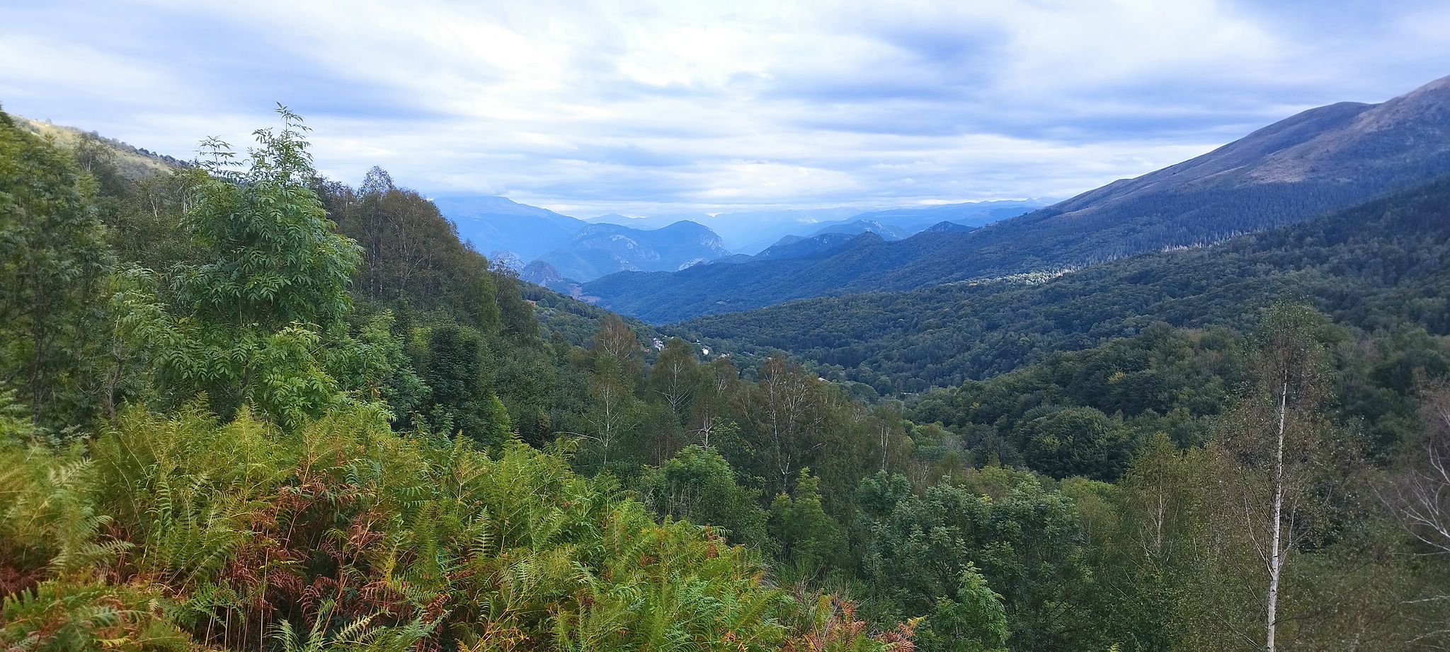 WEB IMG 20220908 182828