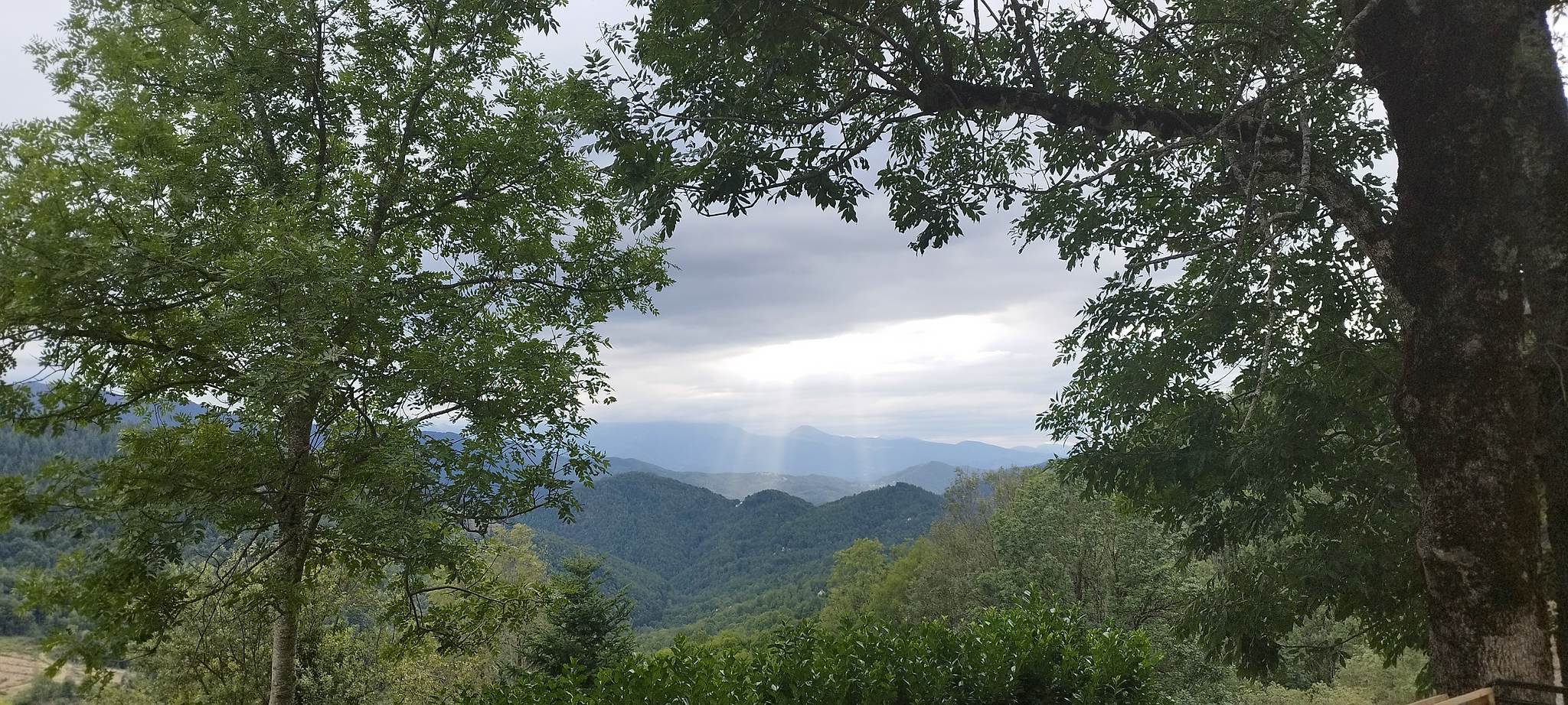 WEB IMG 20220908 184322