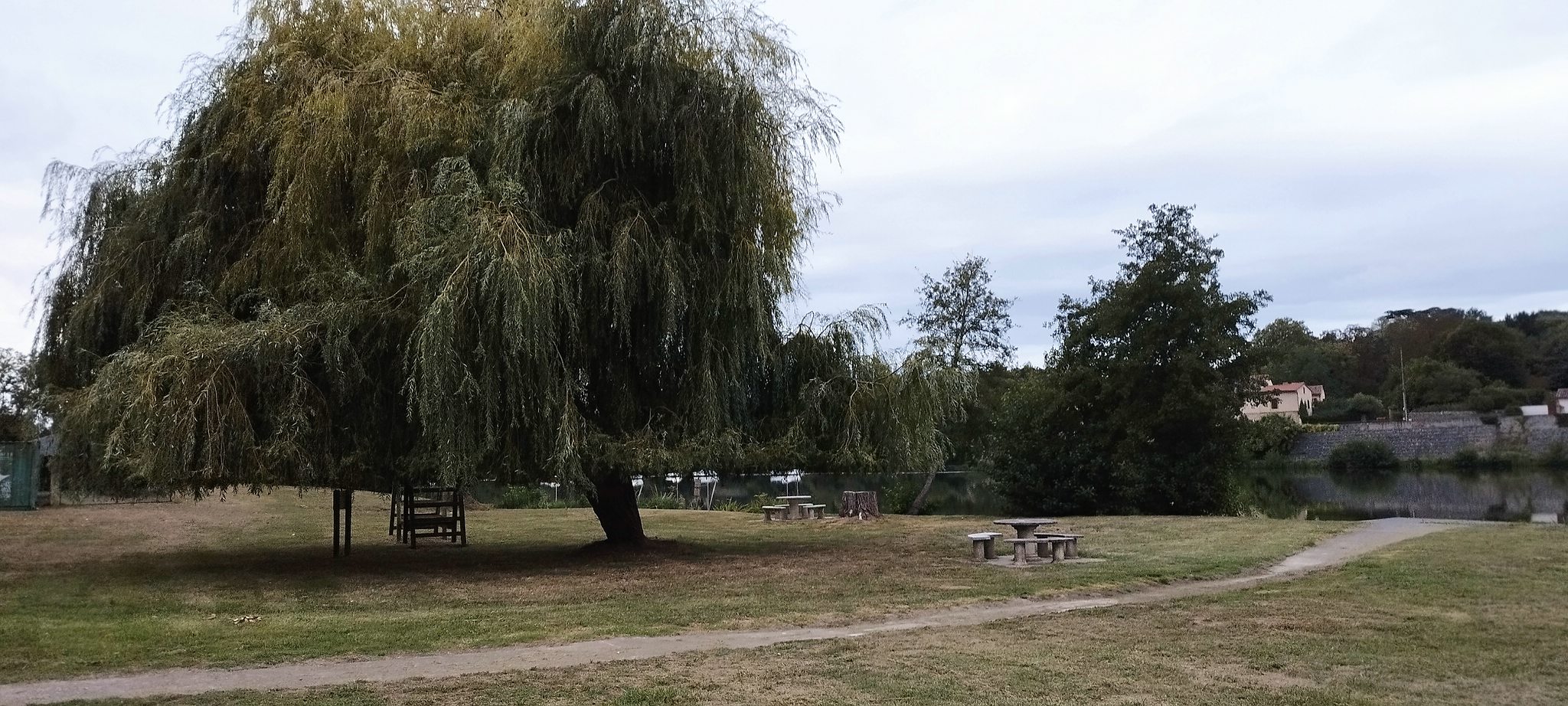 WEB IMG 20220909 074324