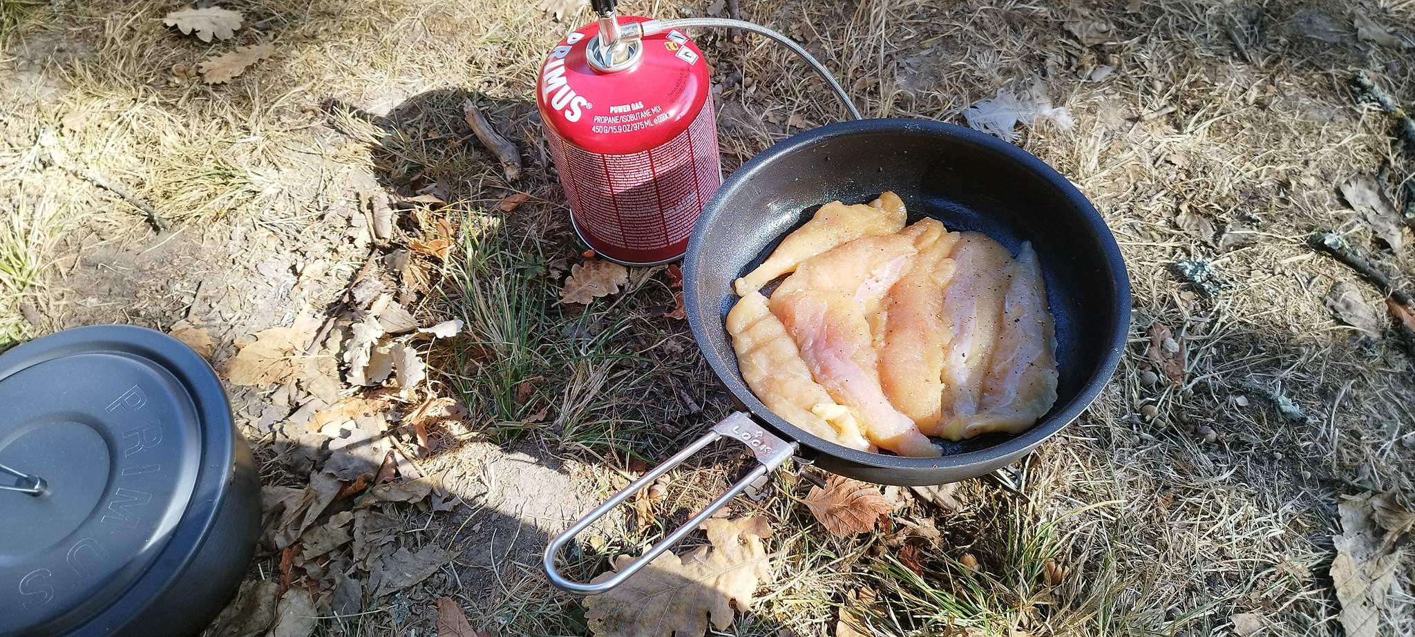 WEB IMG 20220910 110757