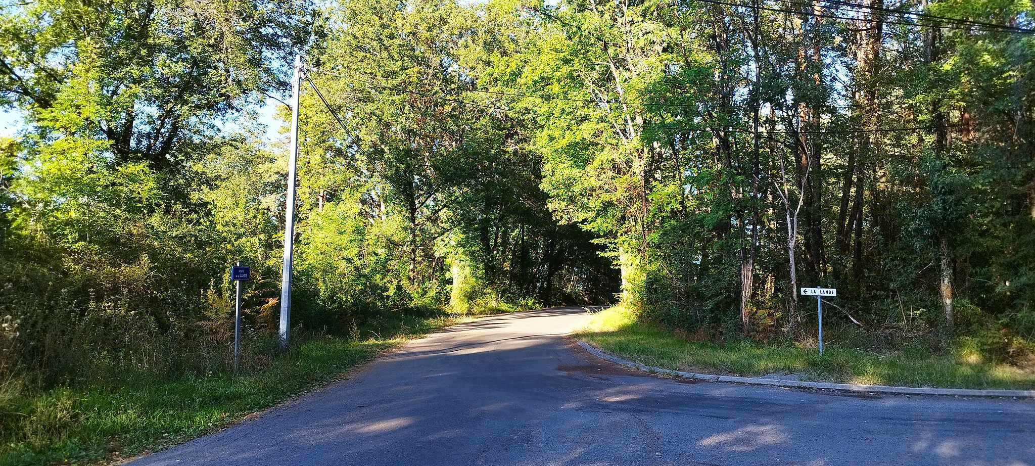 WEB IMG 20220910 183457