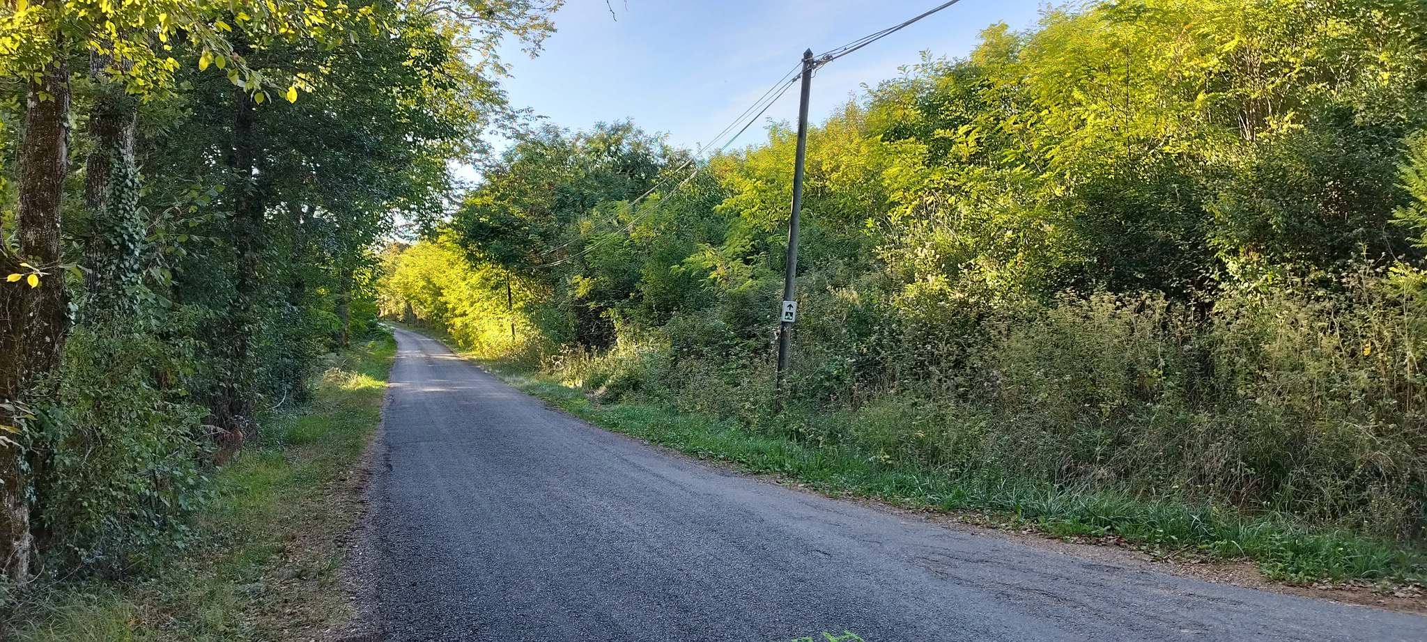 WEB IMG 20220910 183501