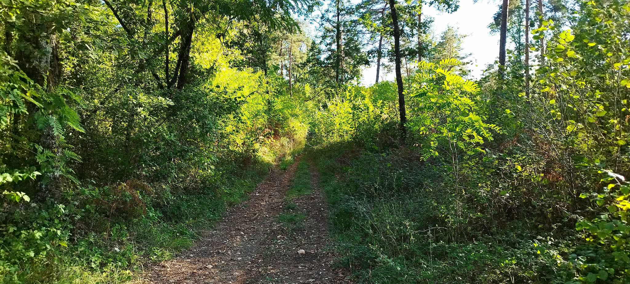 WEB IMG 20220910 183505