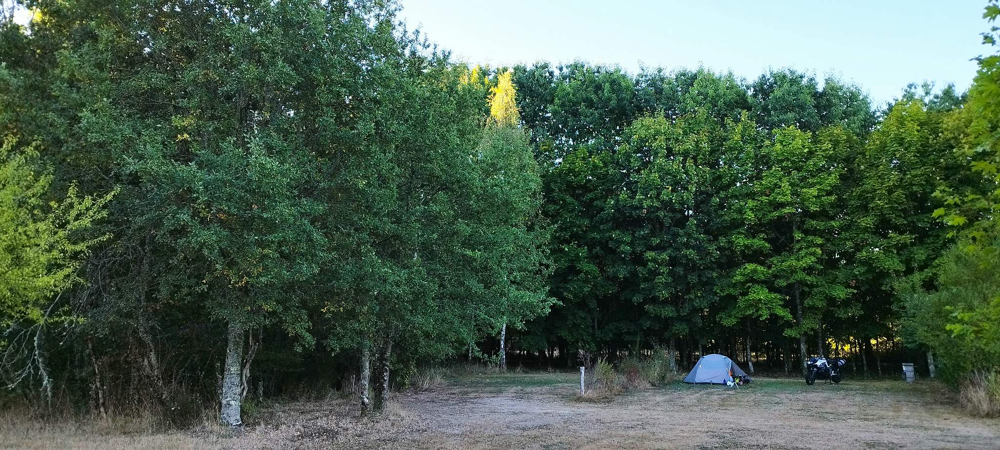 WEB IMG 20220911 084243