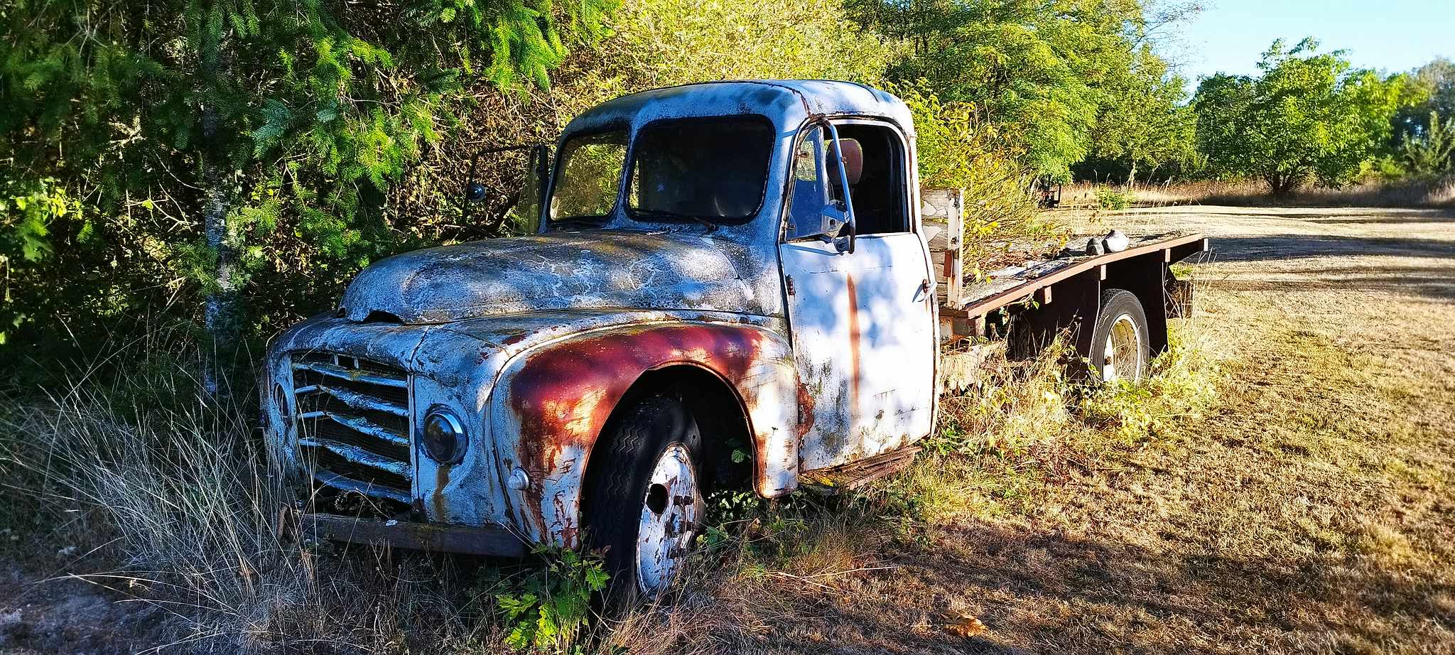 WEB IMG 20220911 084410