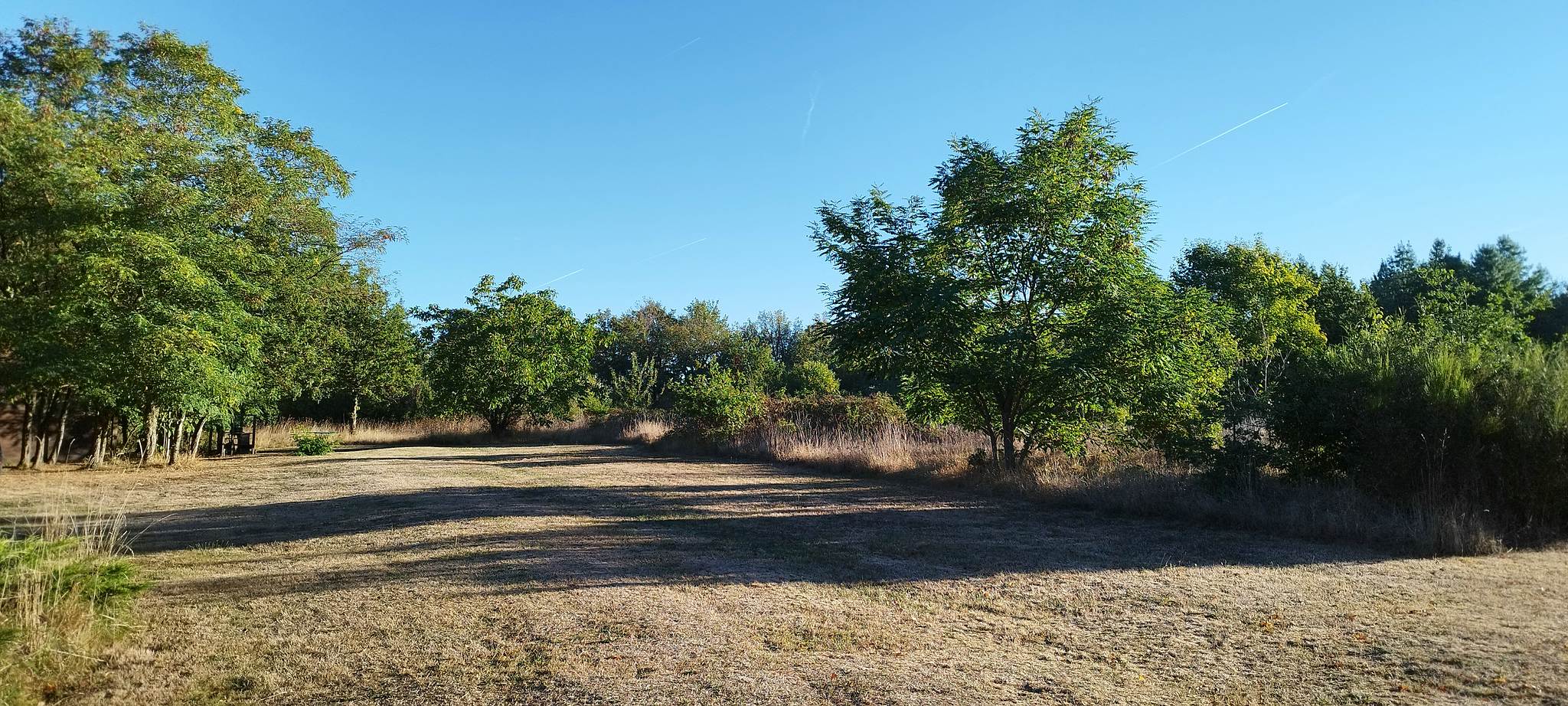 WEB IMG 20220911 084432