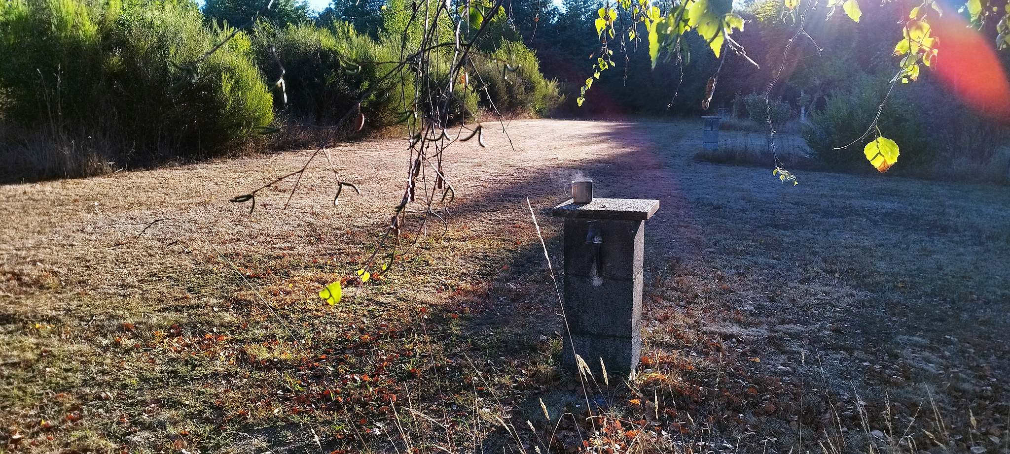 WEB IMG 20220911 084448