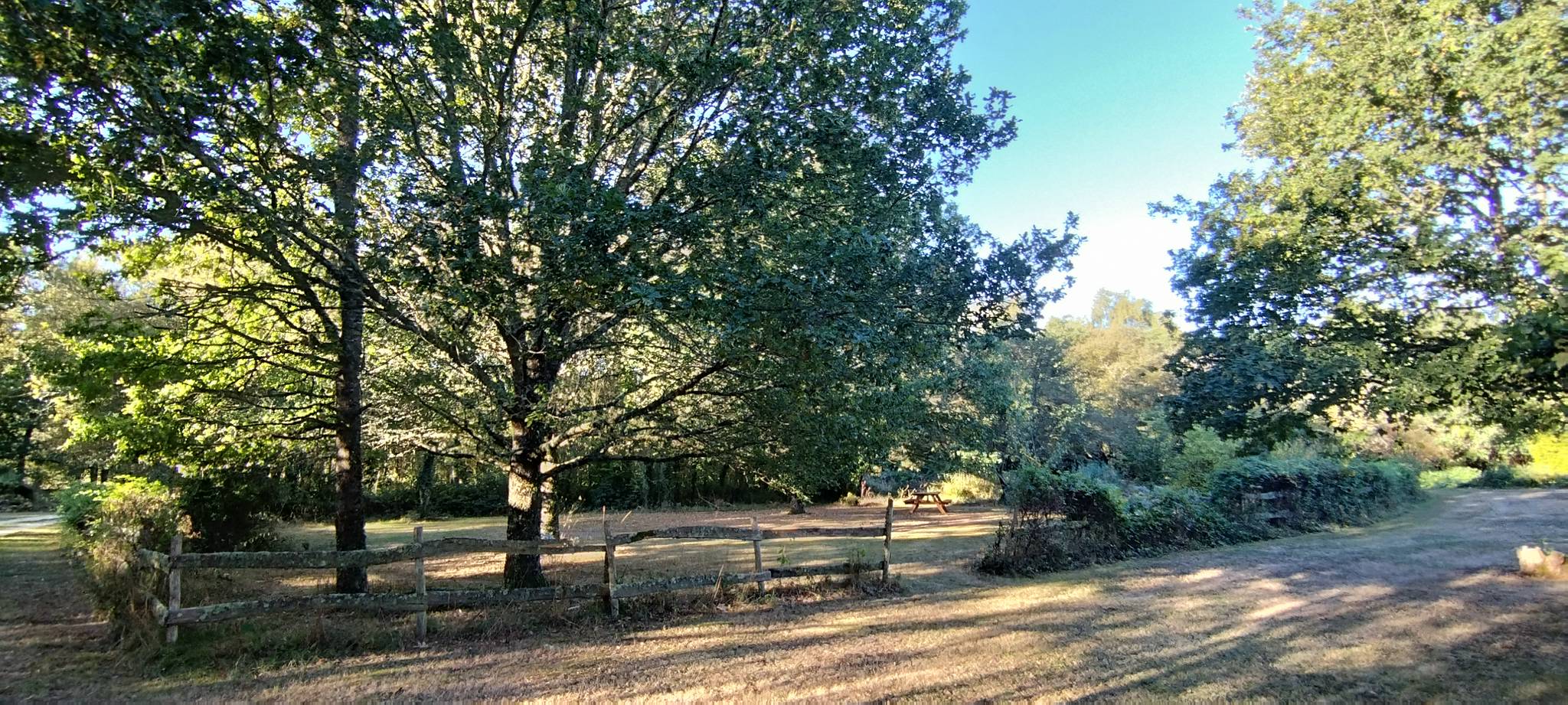 WEB IMG 20220911 090149