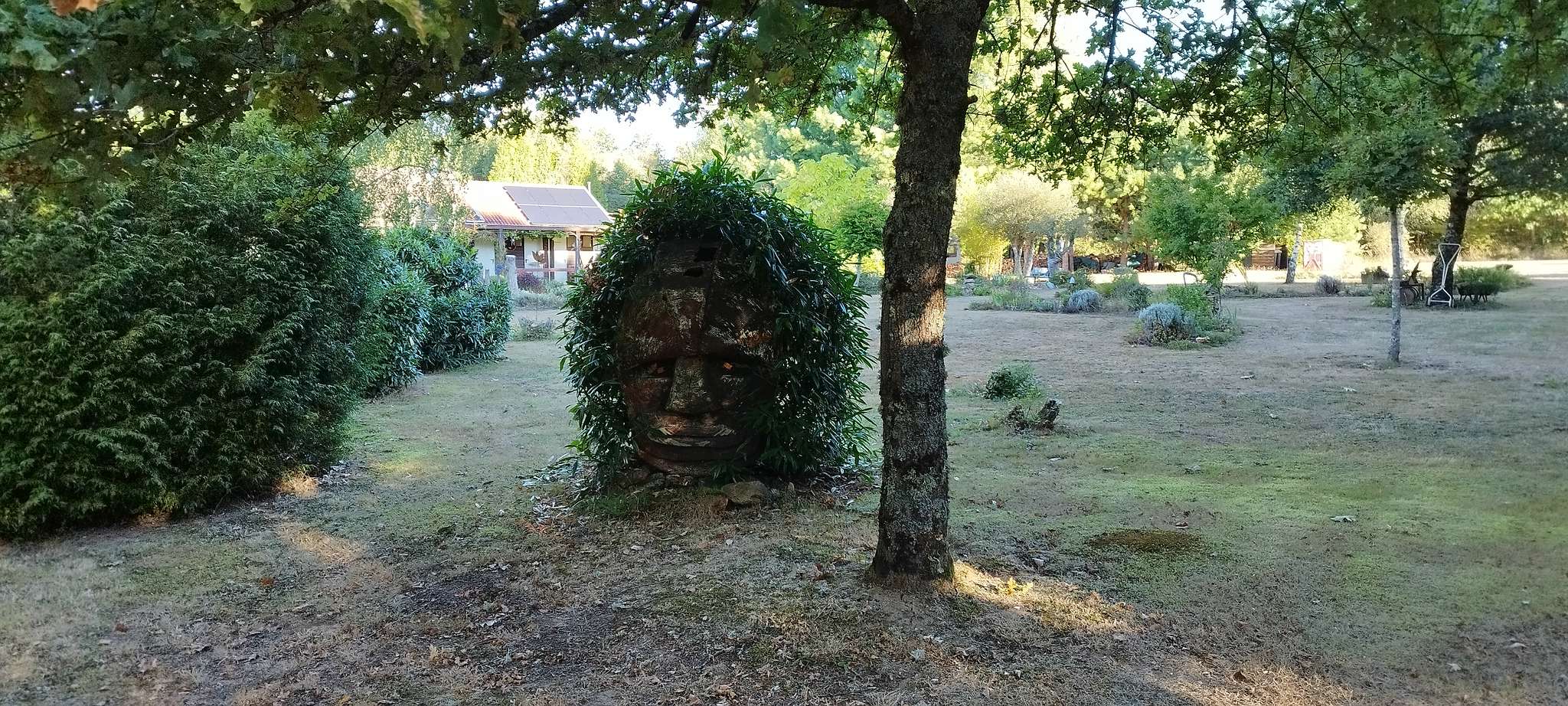 WEB IMG 20220911 090216