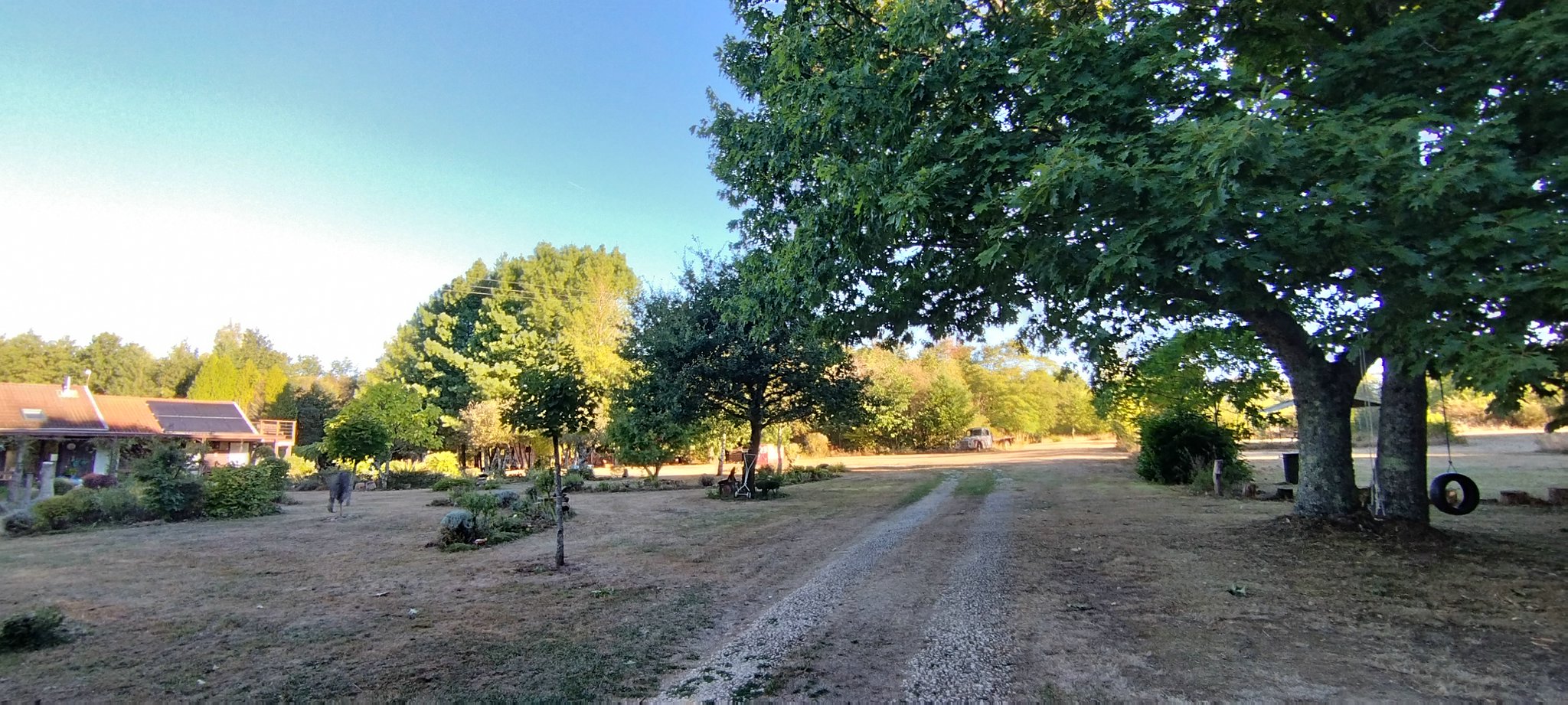 WEB IMG 20220911 090254