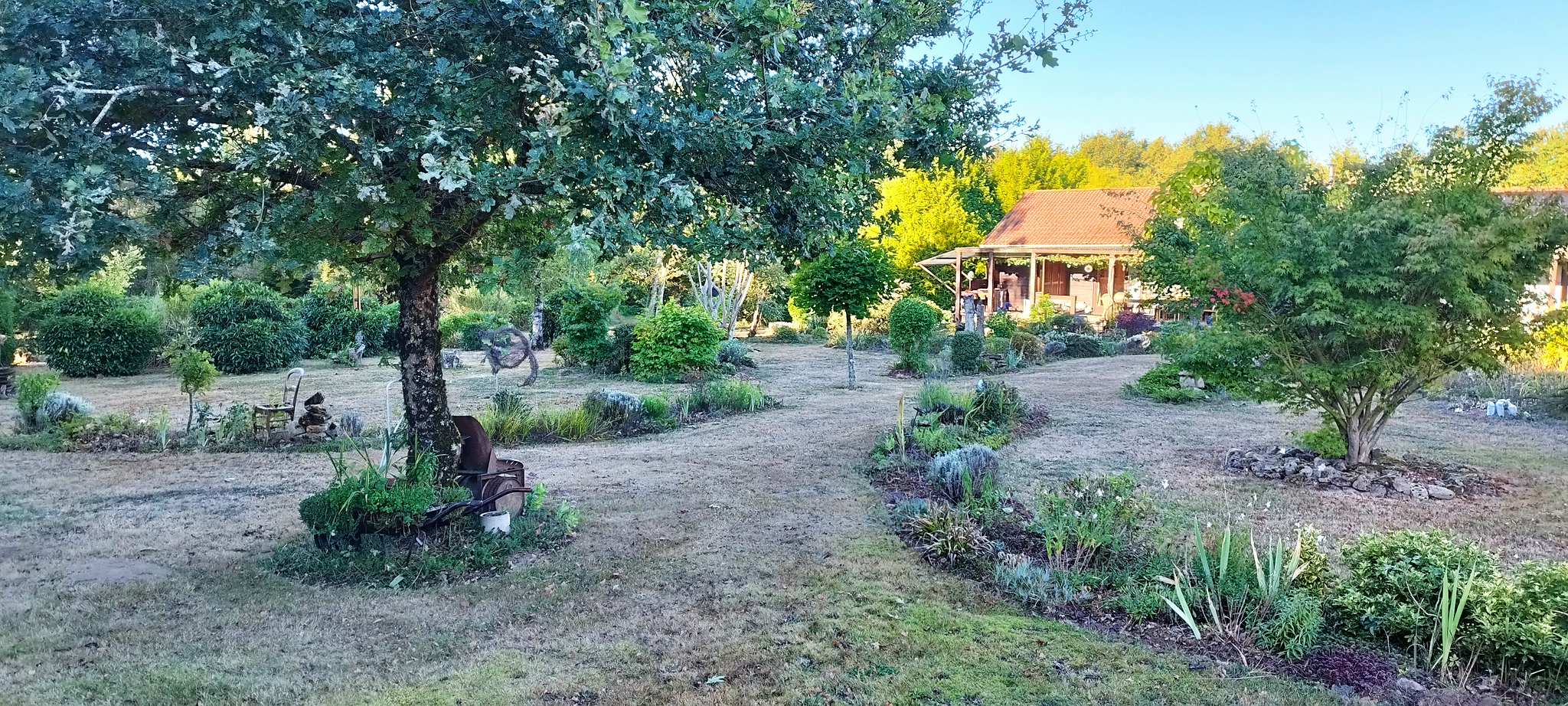 WEB IMG 20220911 090349