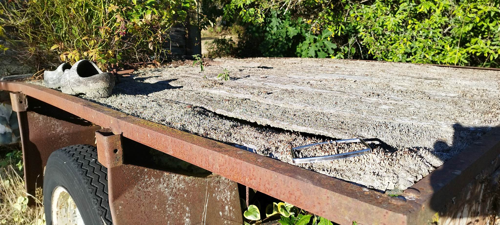 WEB IMG 20220911 092059