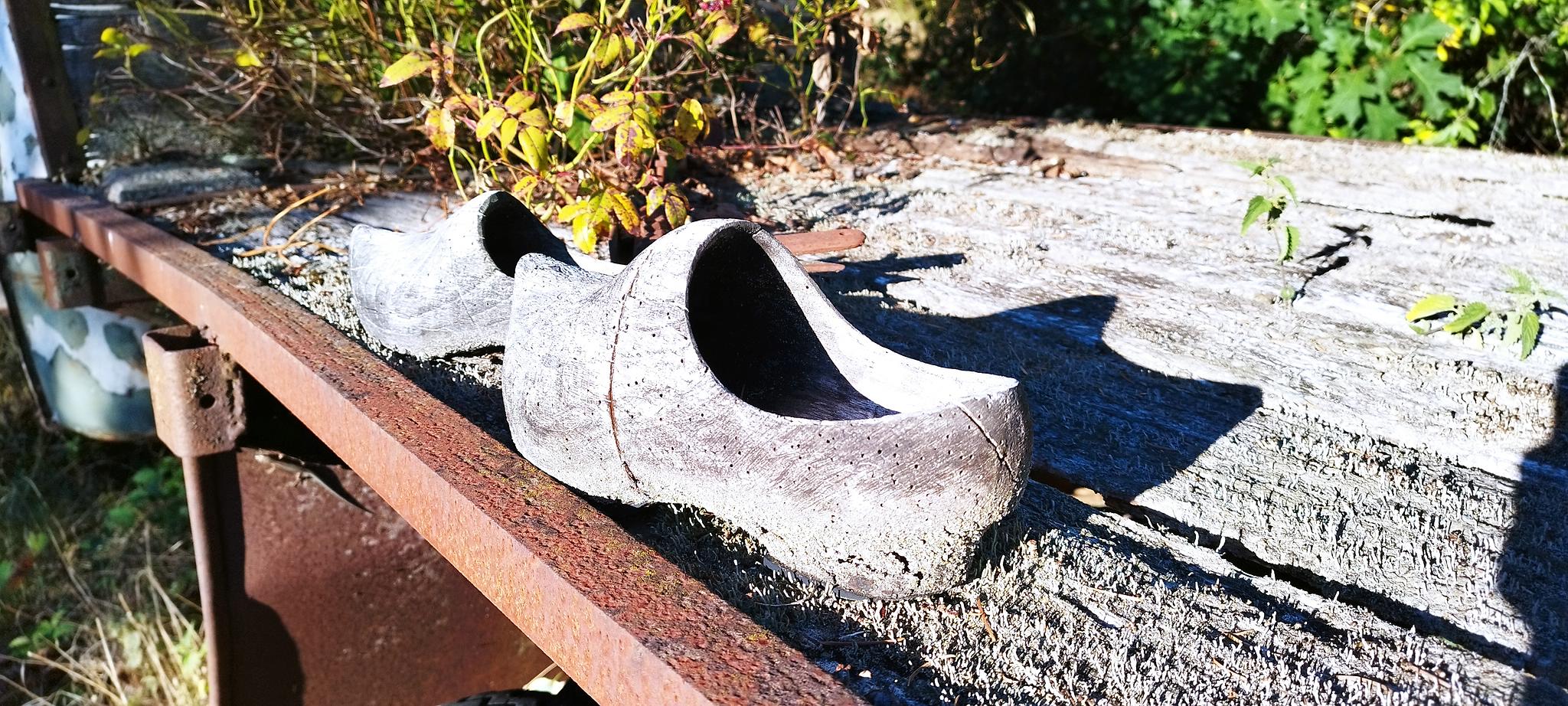 WEB IMG 20220911 092125