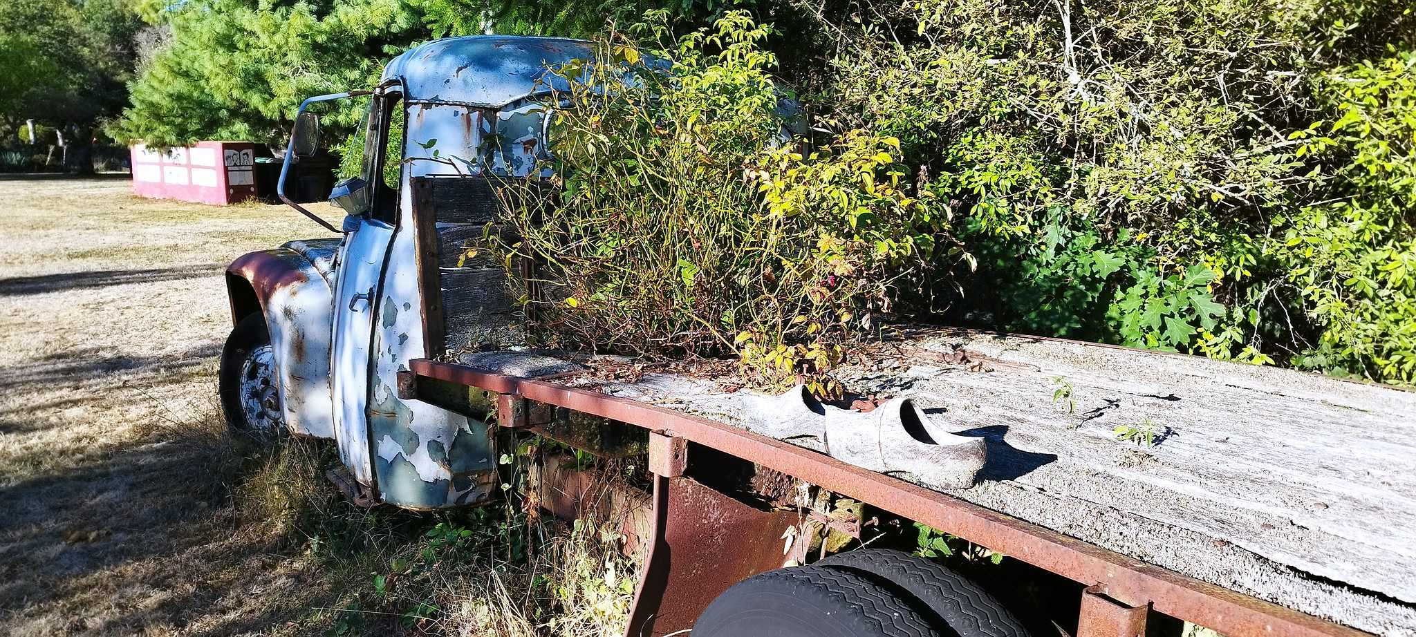 WEB IMG 20220911 092144