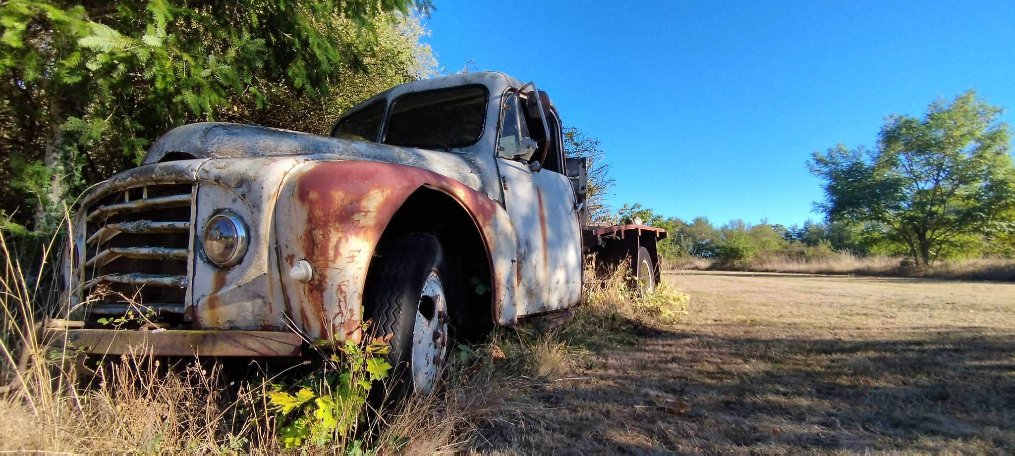 WEB IMG 20220911 092238