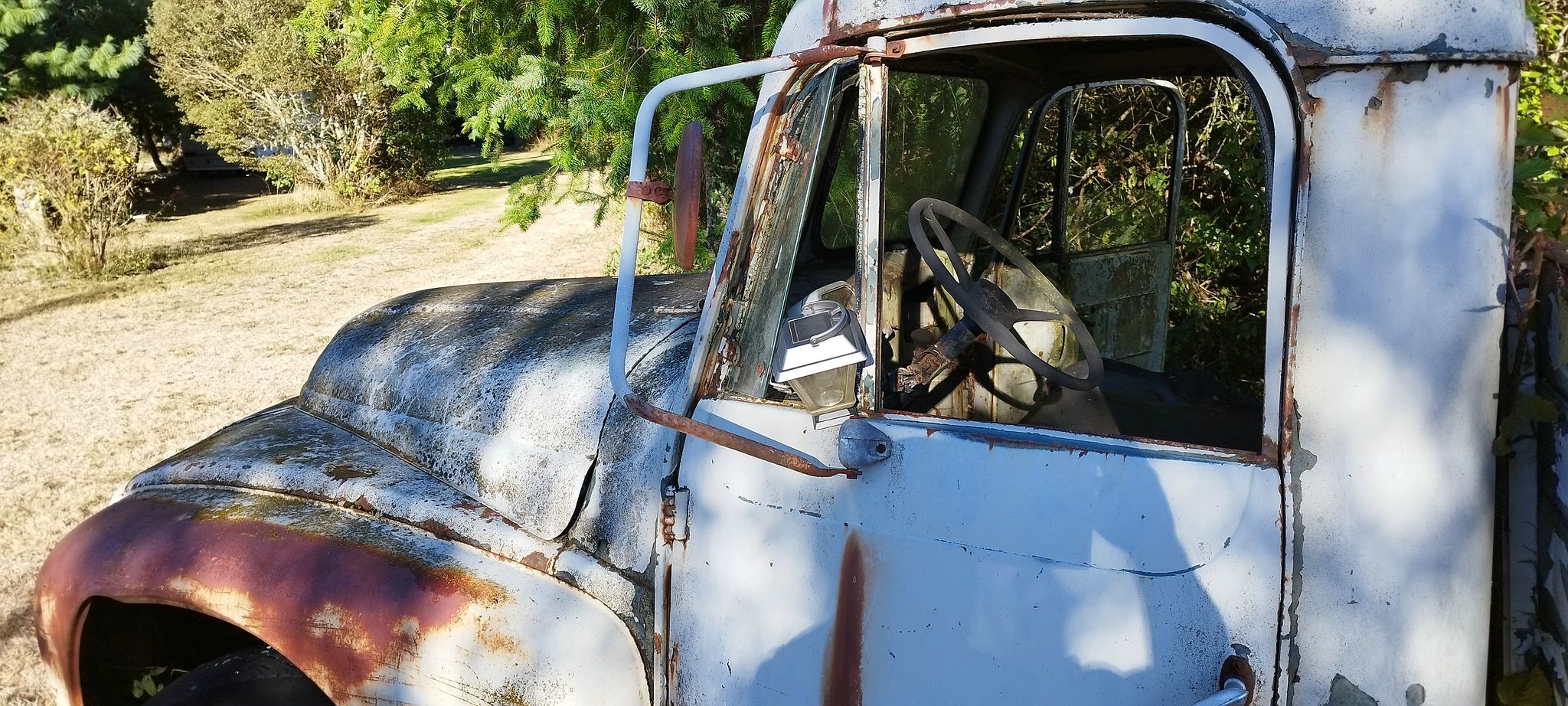 WEB IMG 20220911 092316