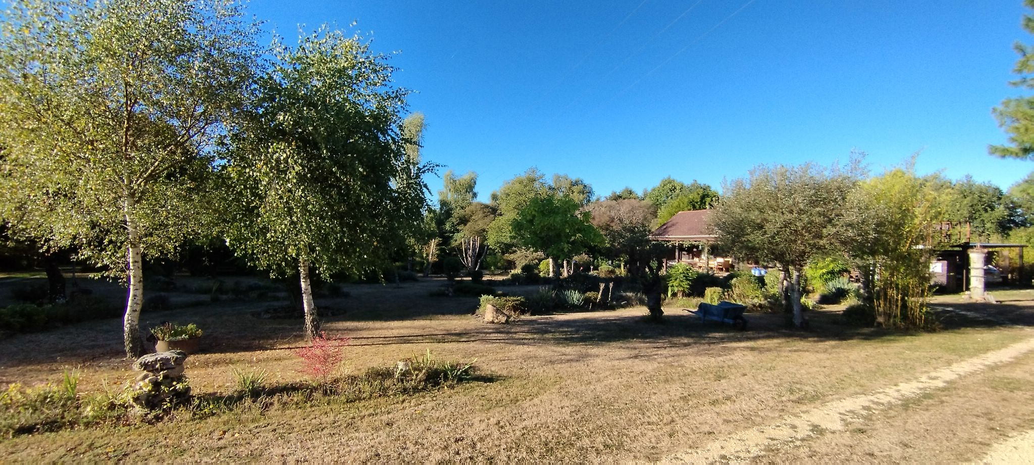 WEB IMG 20220911 092404