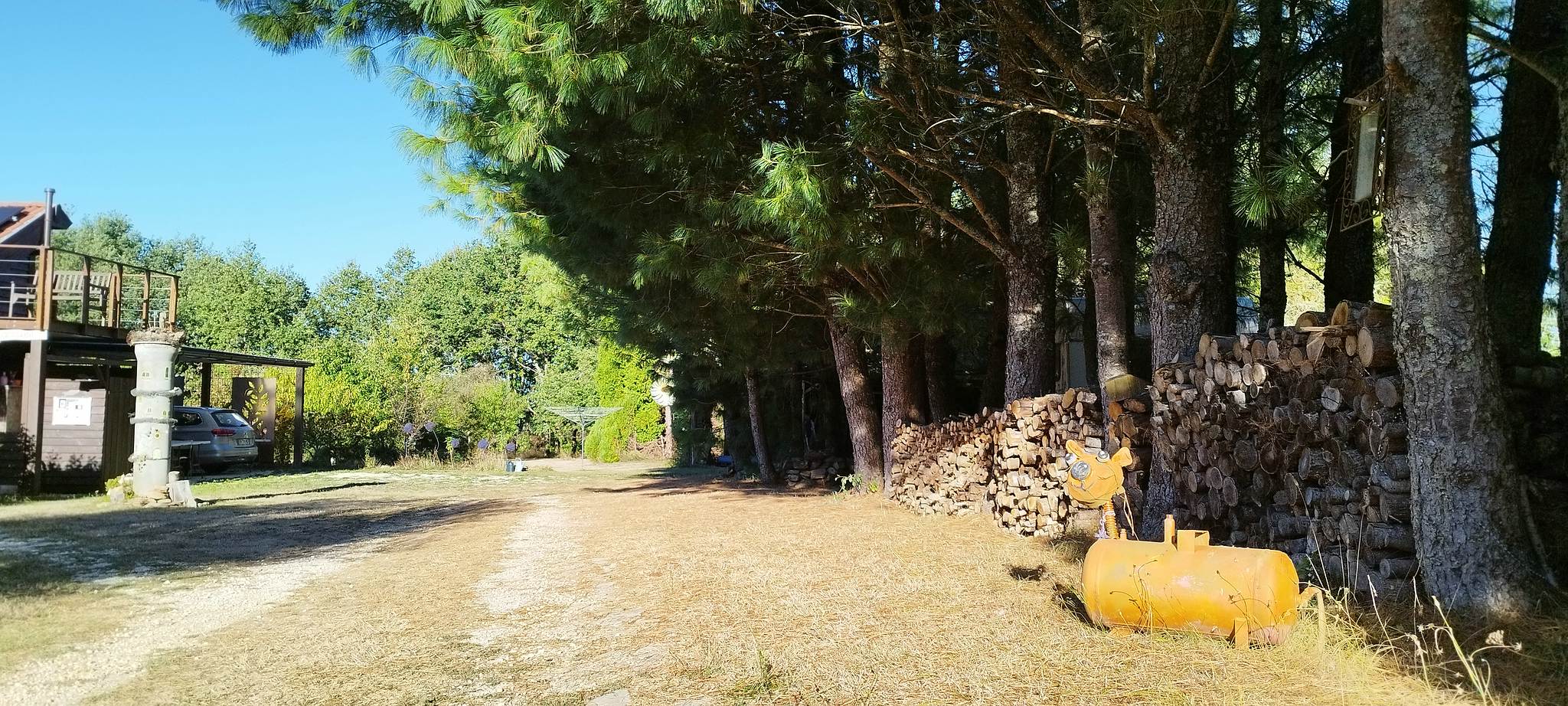 WEB IMG 20220911 092449