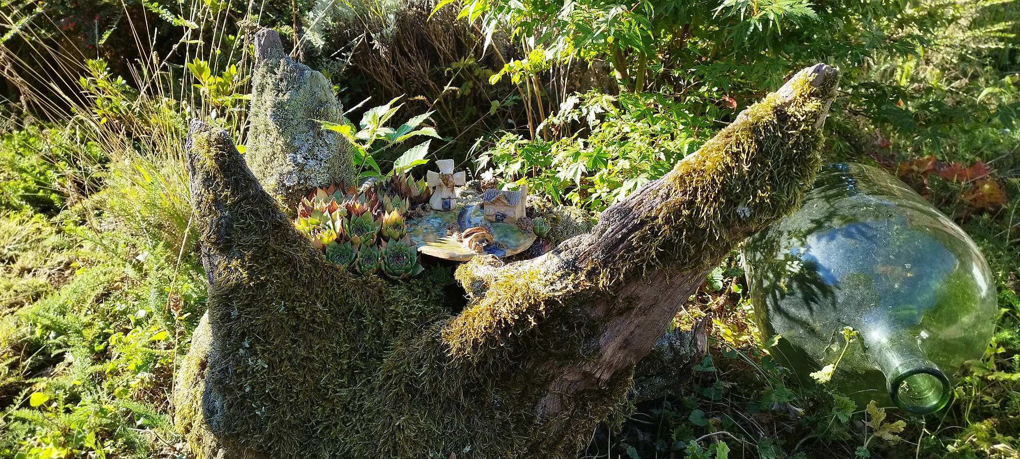 WEB IMG 20220911 092714