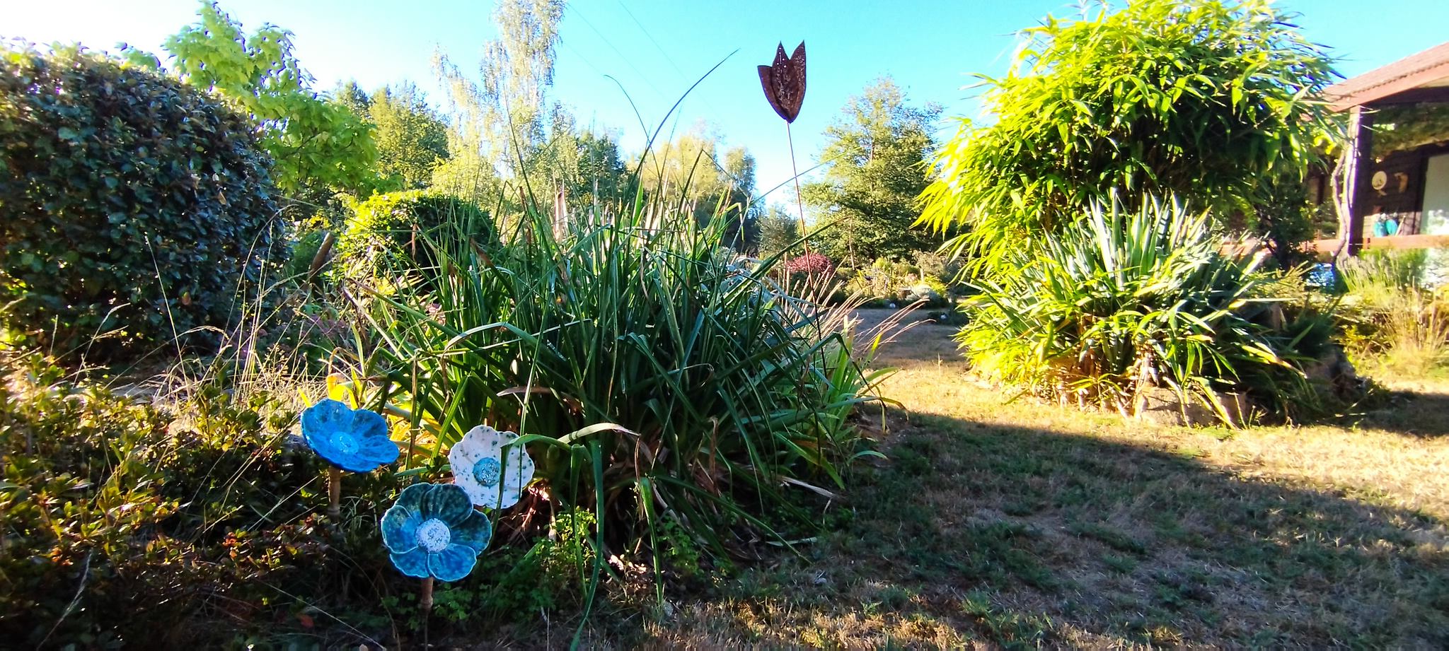 WEB IMG 20220911 092740