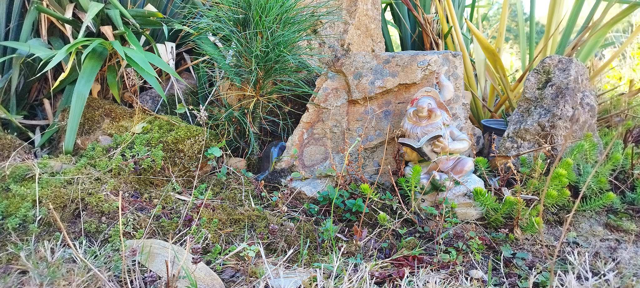 WEB IMG 20220911 092807