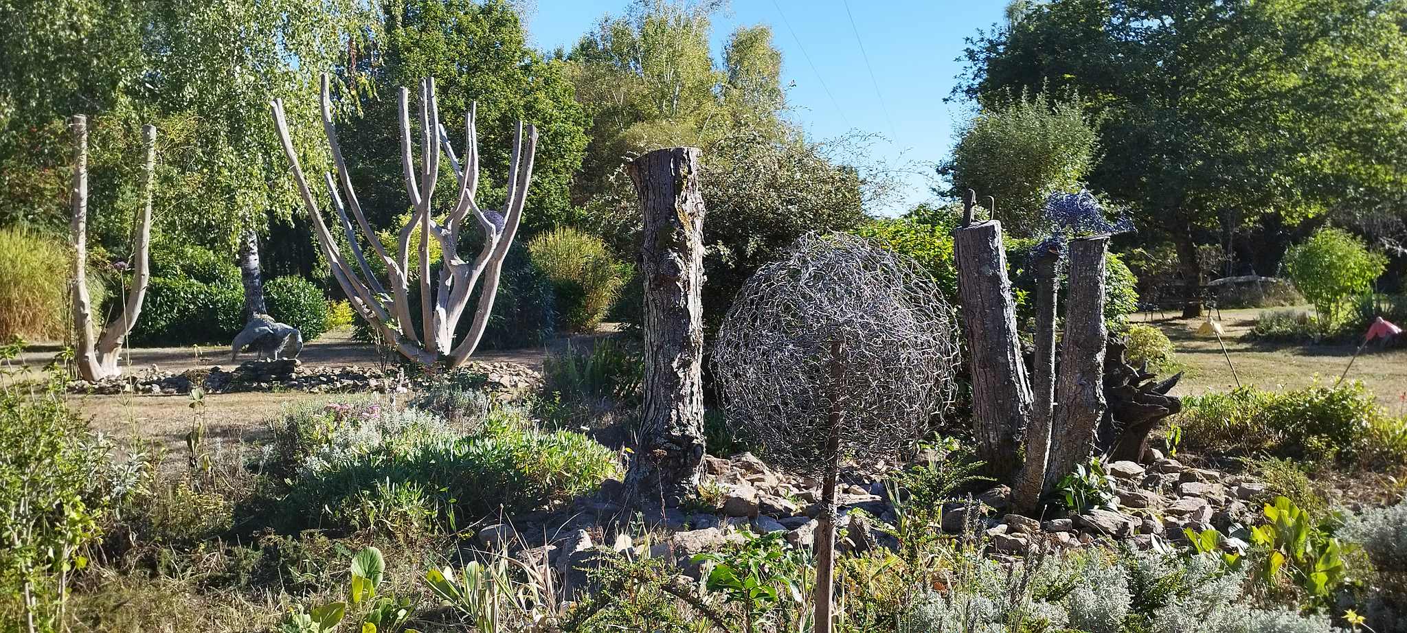 WEB IMG 20220911 173739