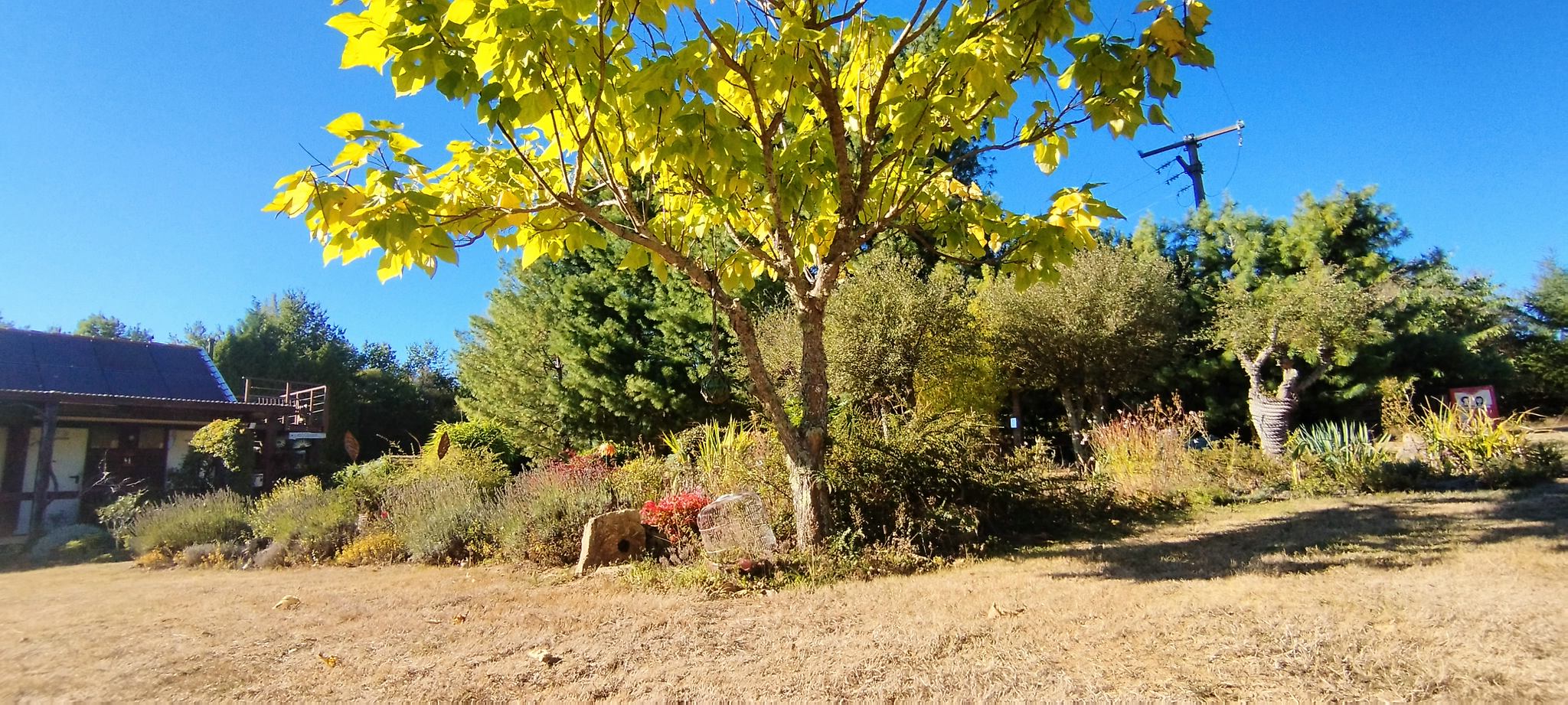 WEB IMG 20220911 173757