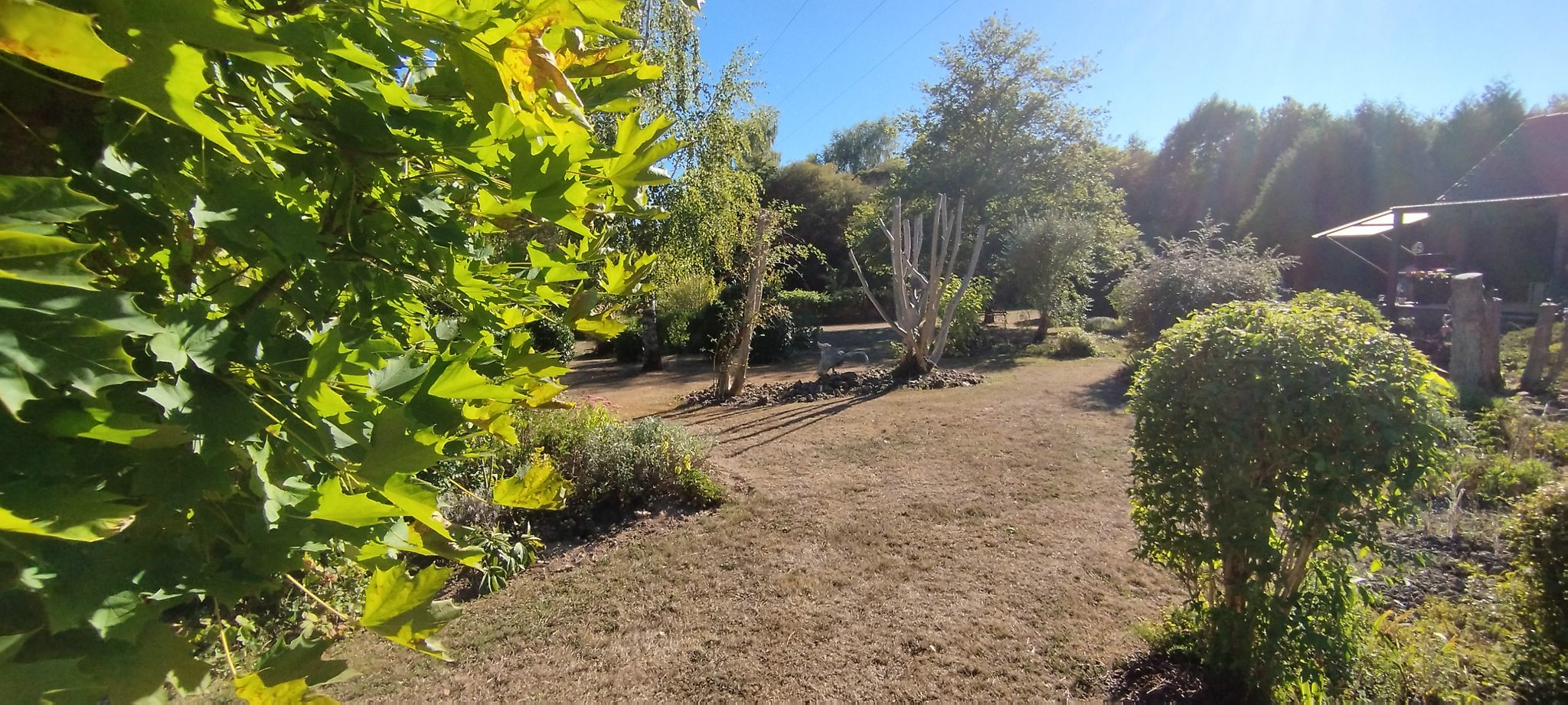 WEB IMG 20220911 173812