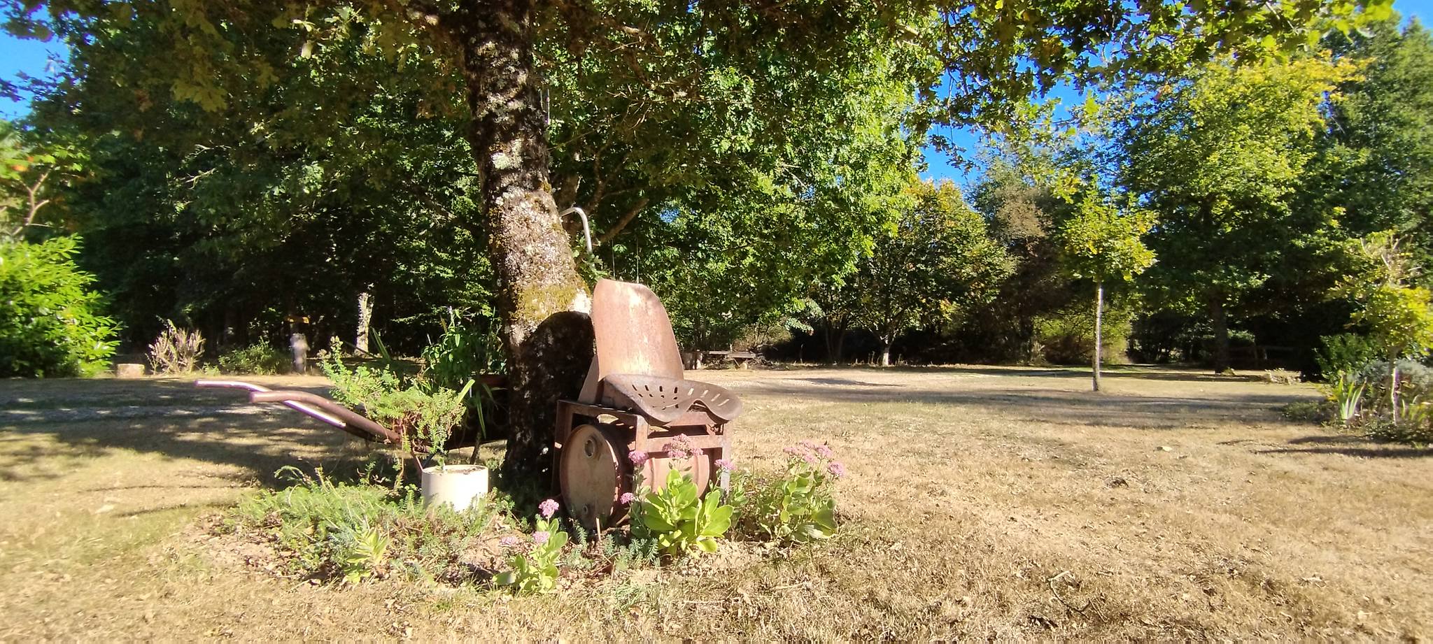 WEB IMG 20220911 173847