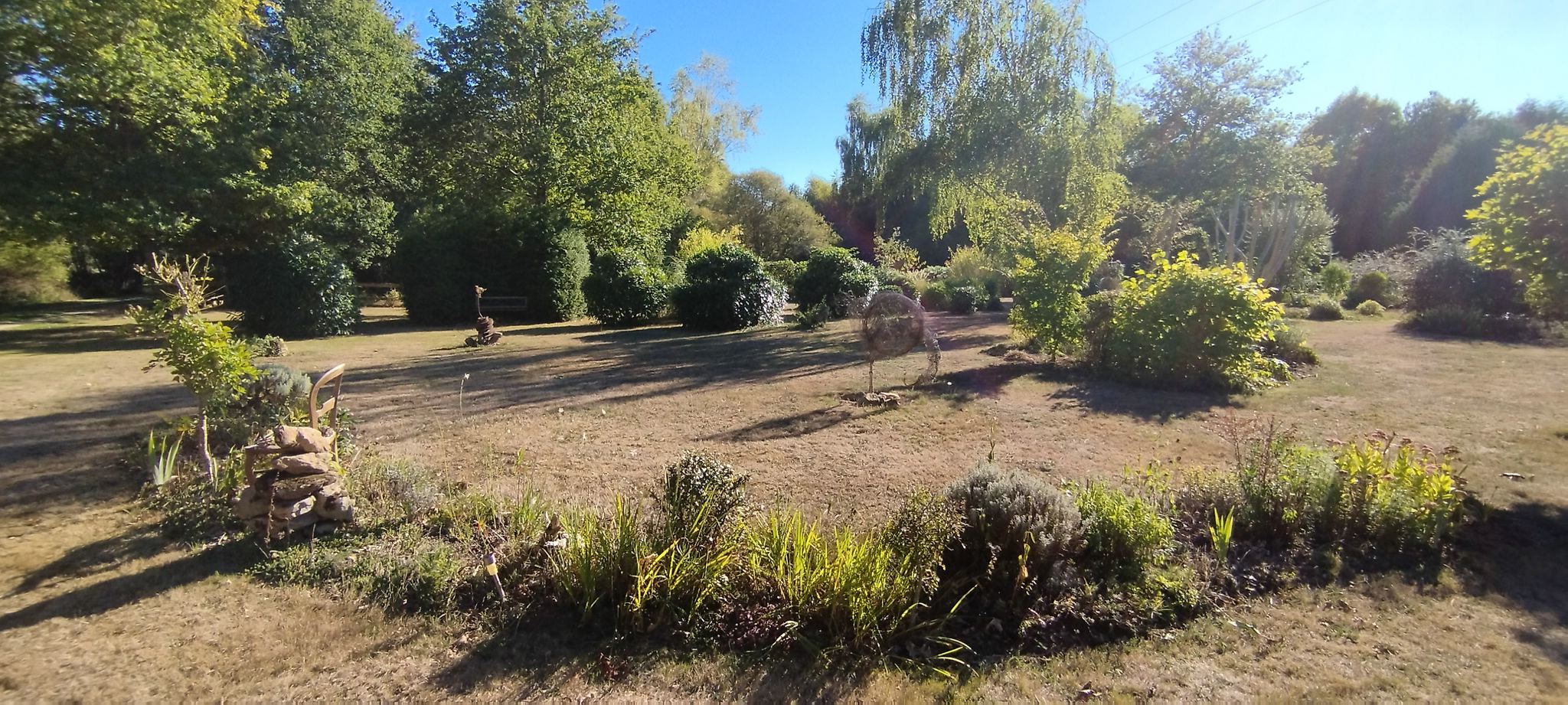 WEB IMG 20220911 173856