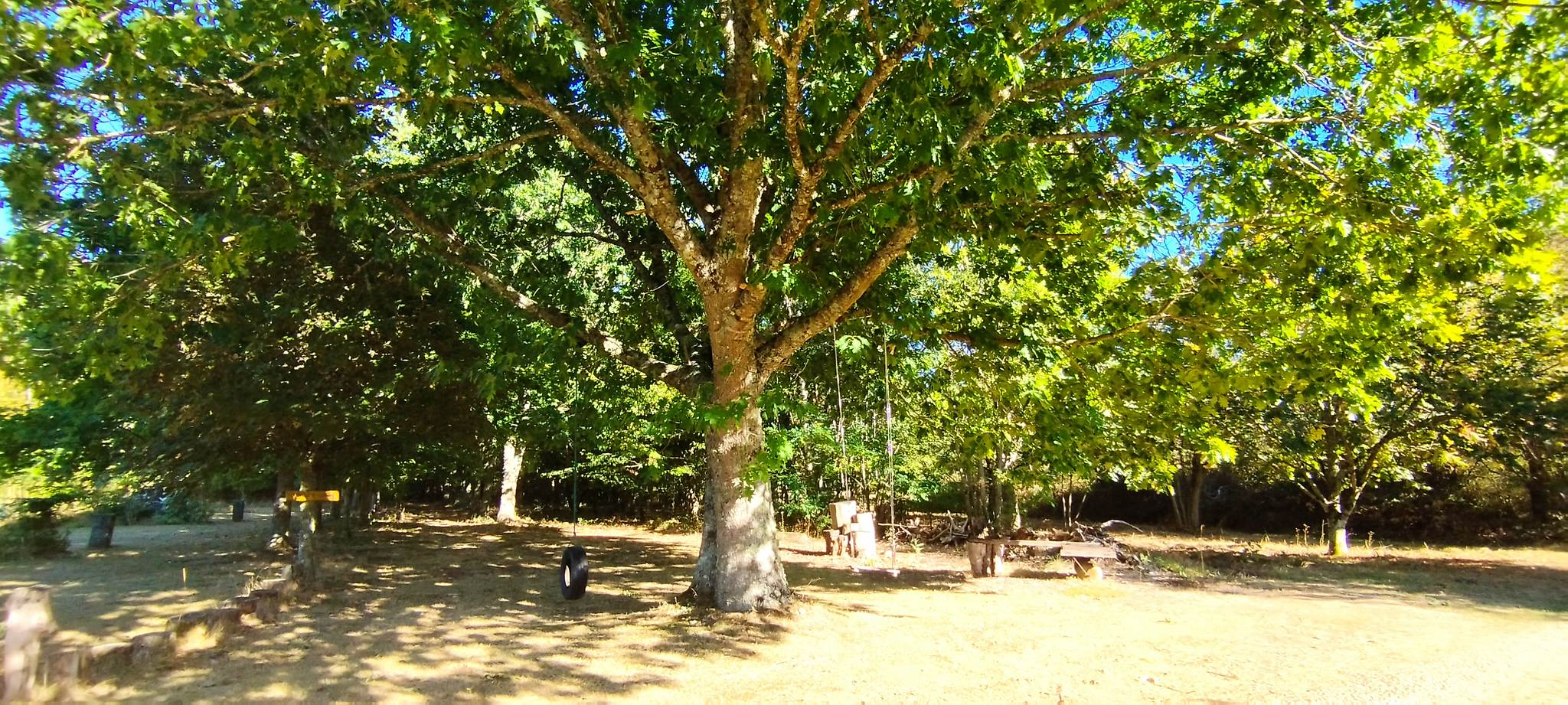 WEB IMG 20220911 173910