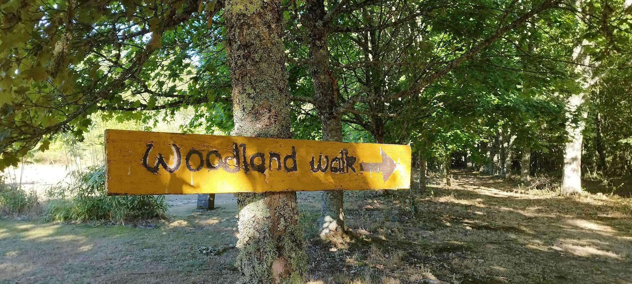 WEB IMG 20220911 173934