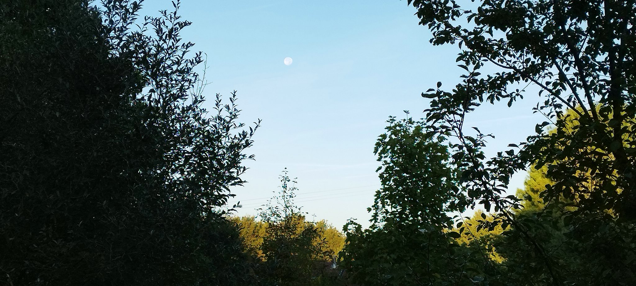 WEB IMG 20220912 081243