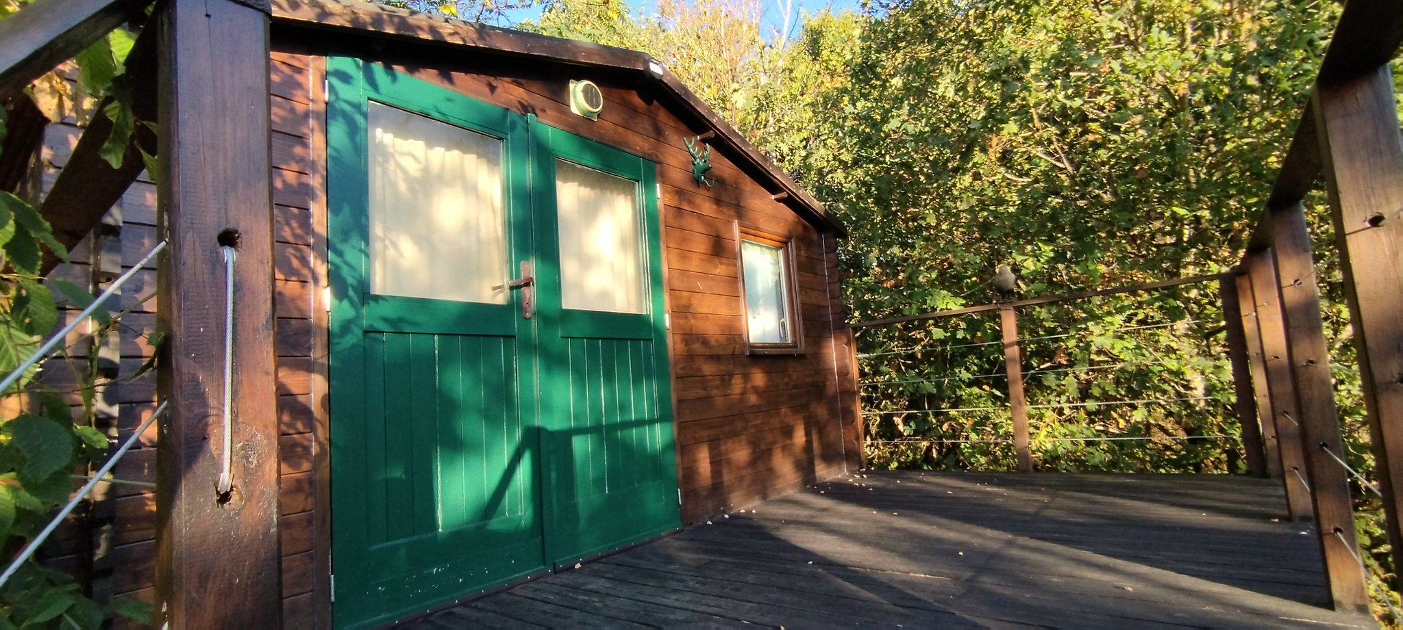 WEB IMG 20220912 083457