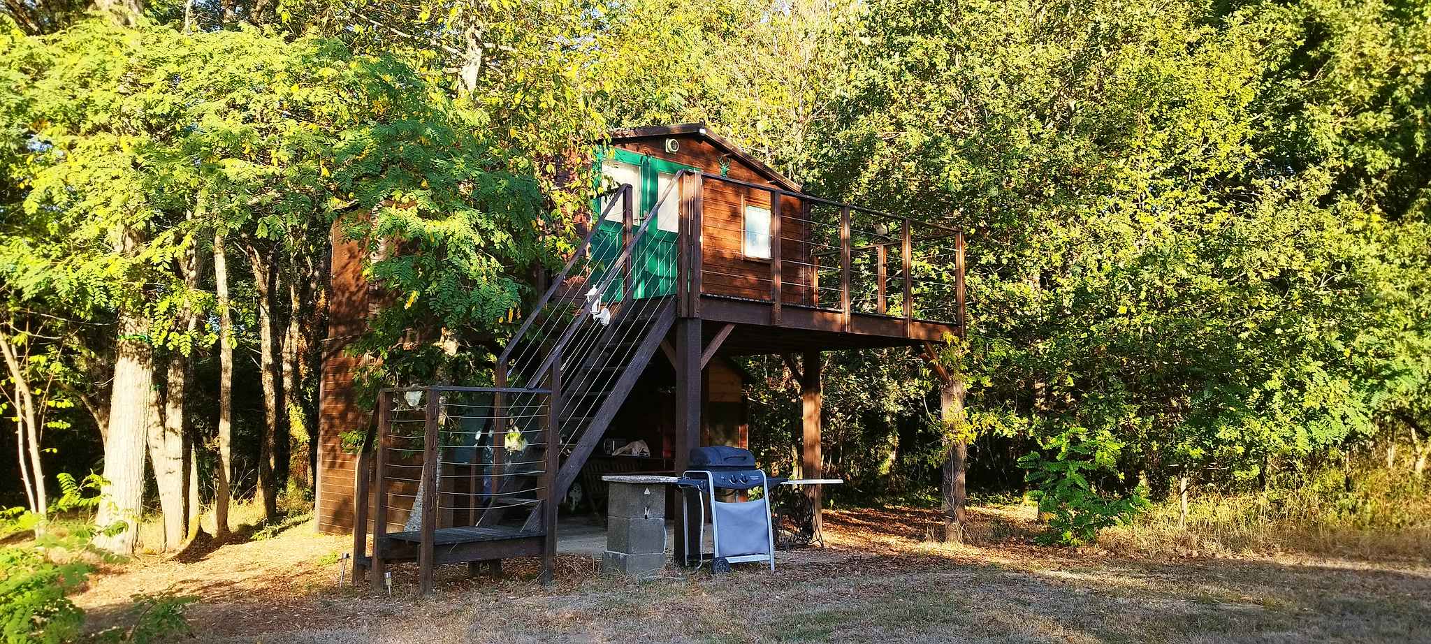 WEB IMG 20220912 083640