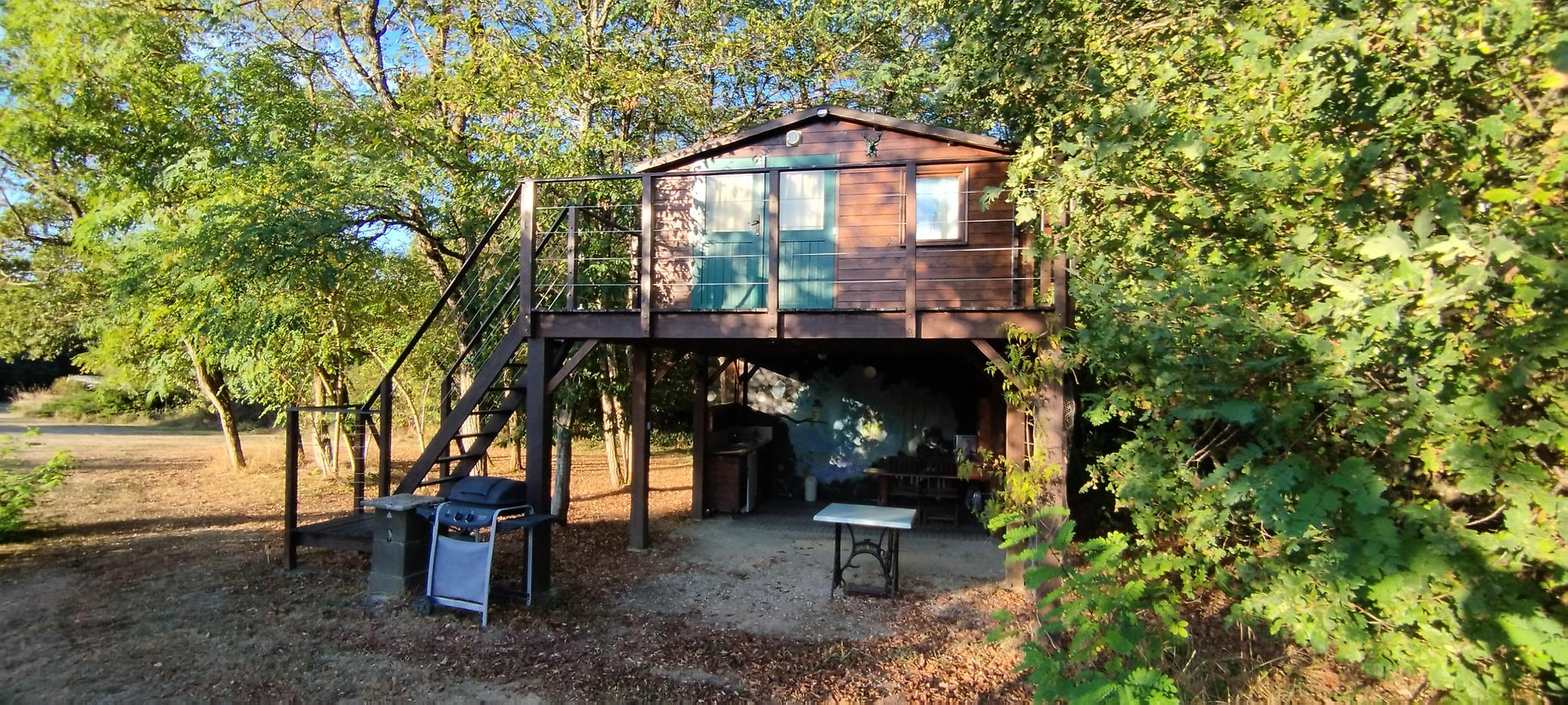 WEB IMG 20220912 083659