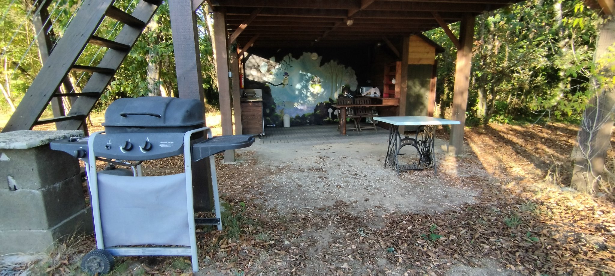 WEB IMG 20220912 083718