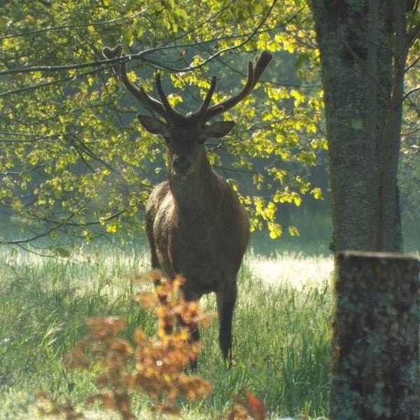 WEB IMG 20220912 083739