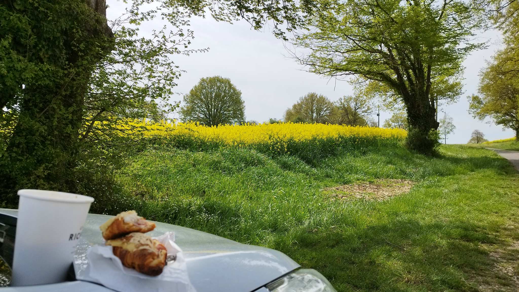 WEB IMG 20220420 114630