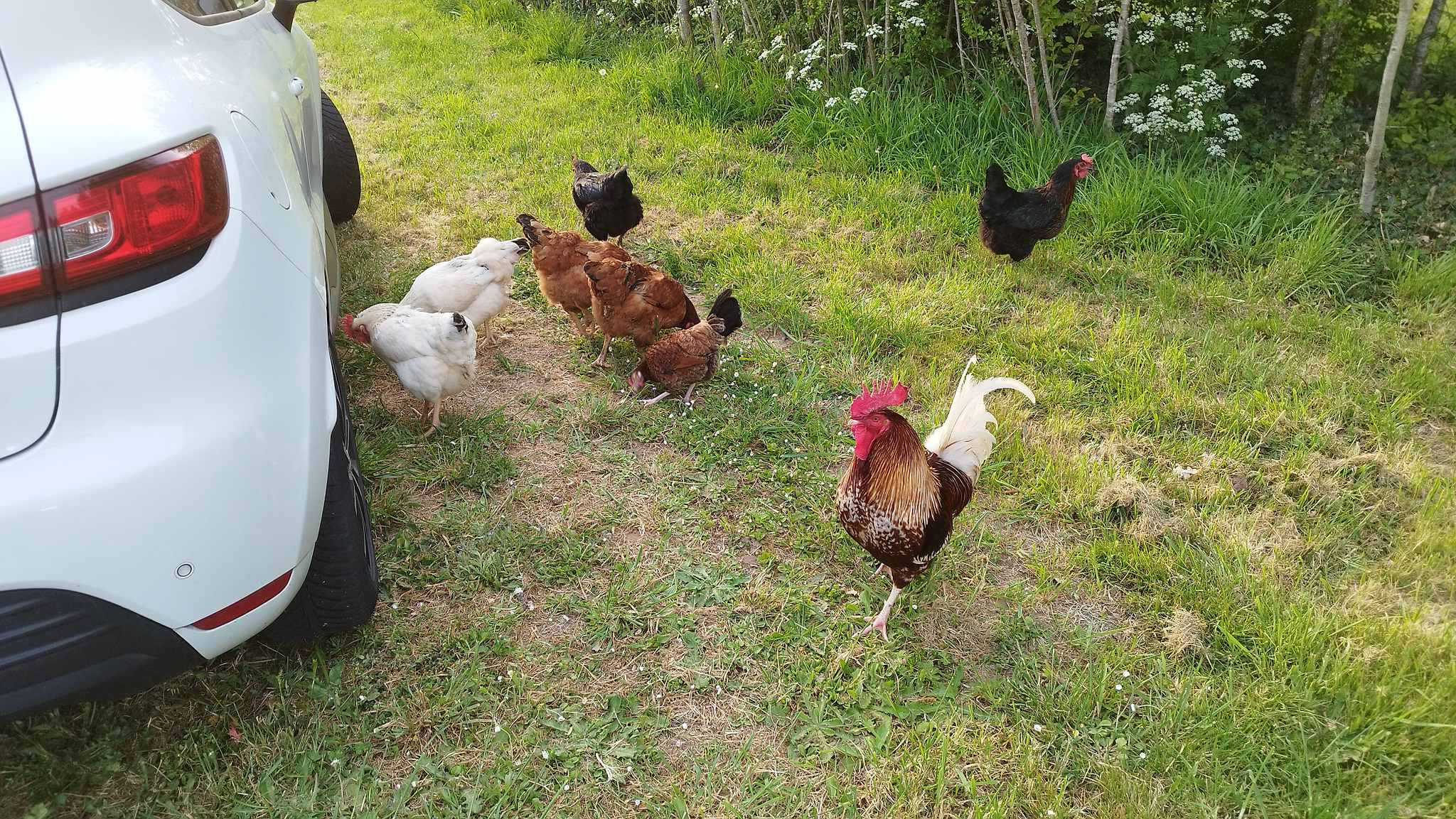 WEB IMG 20220420 195029