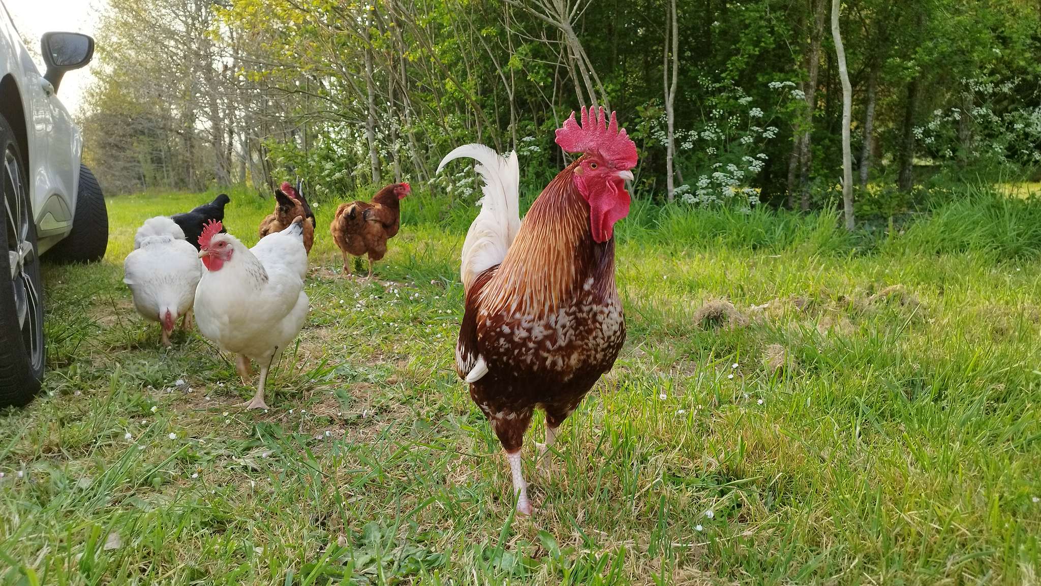 WEB IMG 20220420 195037