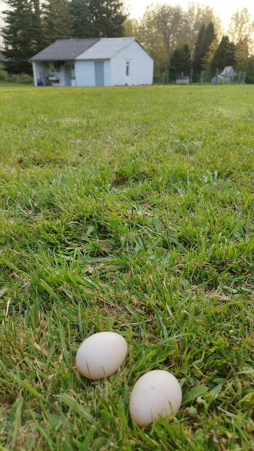 WEB IMG 20220420 201702