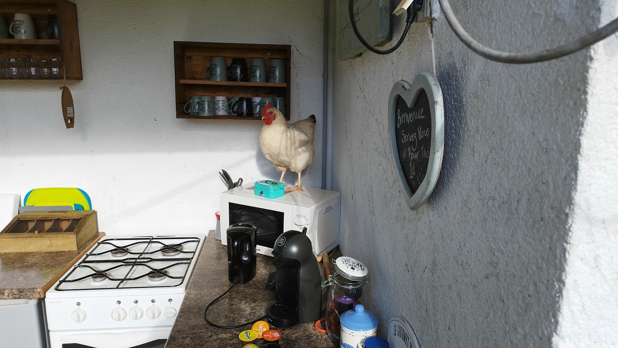 WEB IMG 20220421 093914