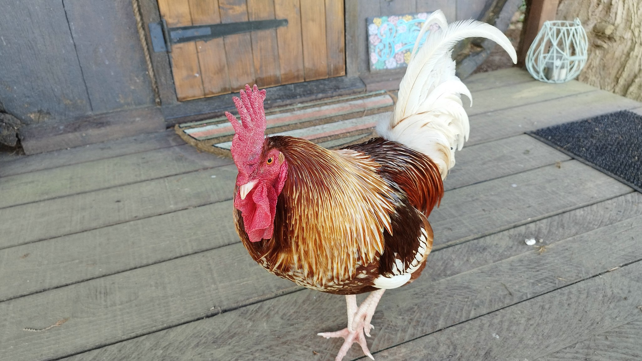 WEB IMG 20220421 100812