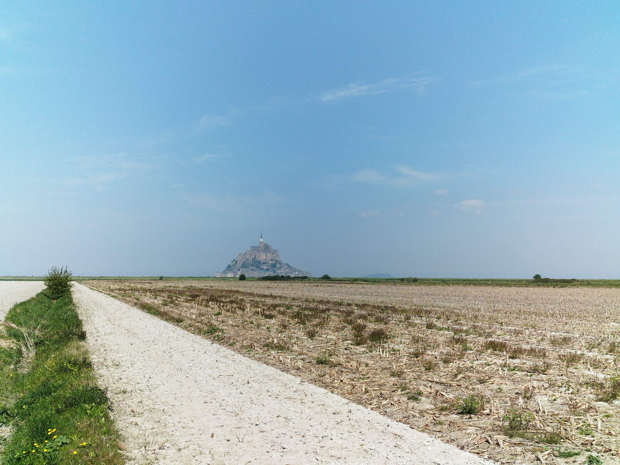 WEB IMG 20220421 125532