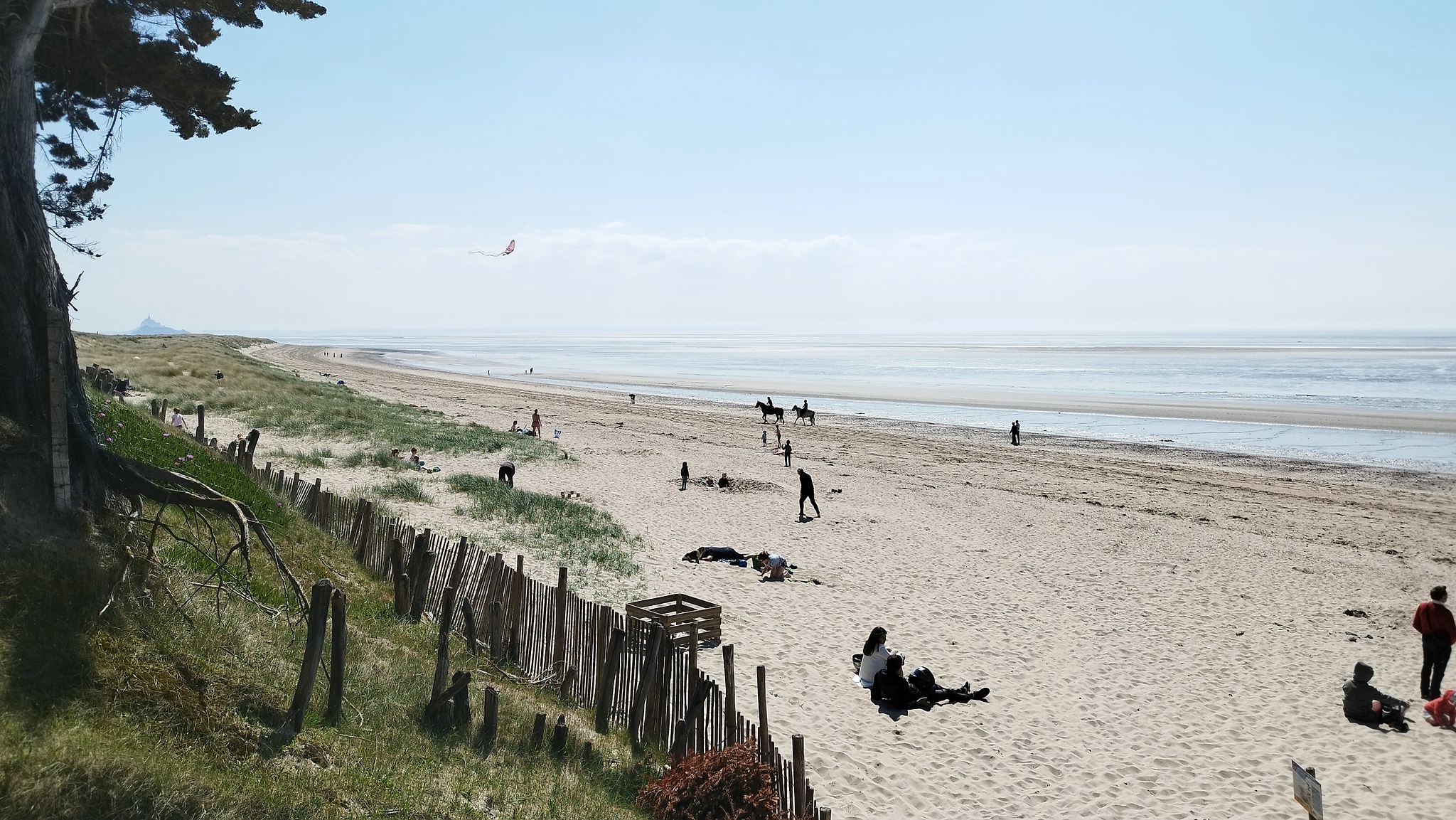 WEB IMG 20220421 153518