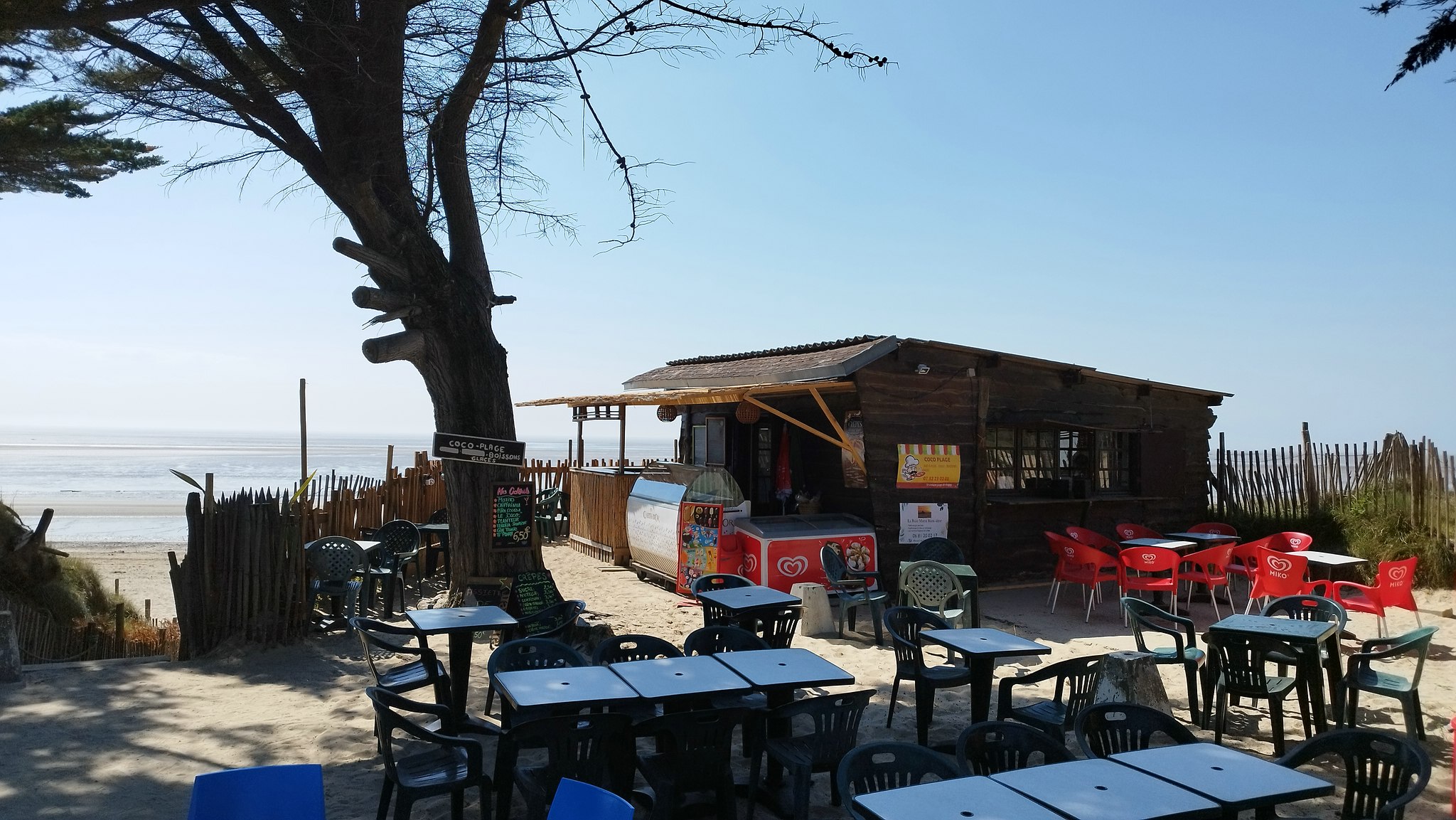 WEB IMG 20220421 155257