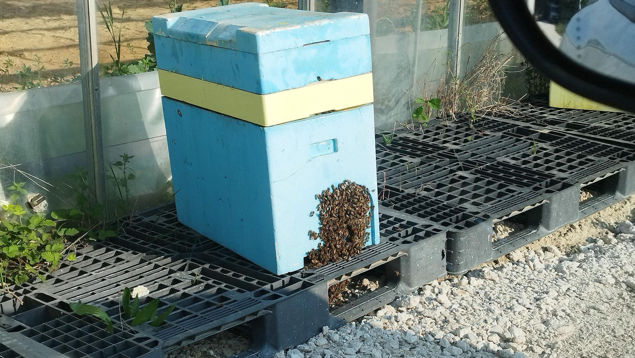 WEB IMG 20220424 090741