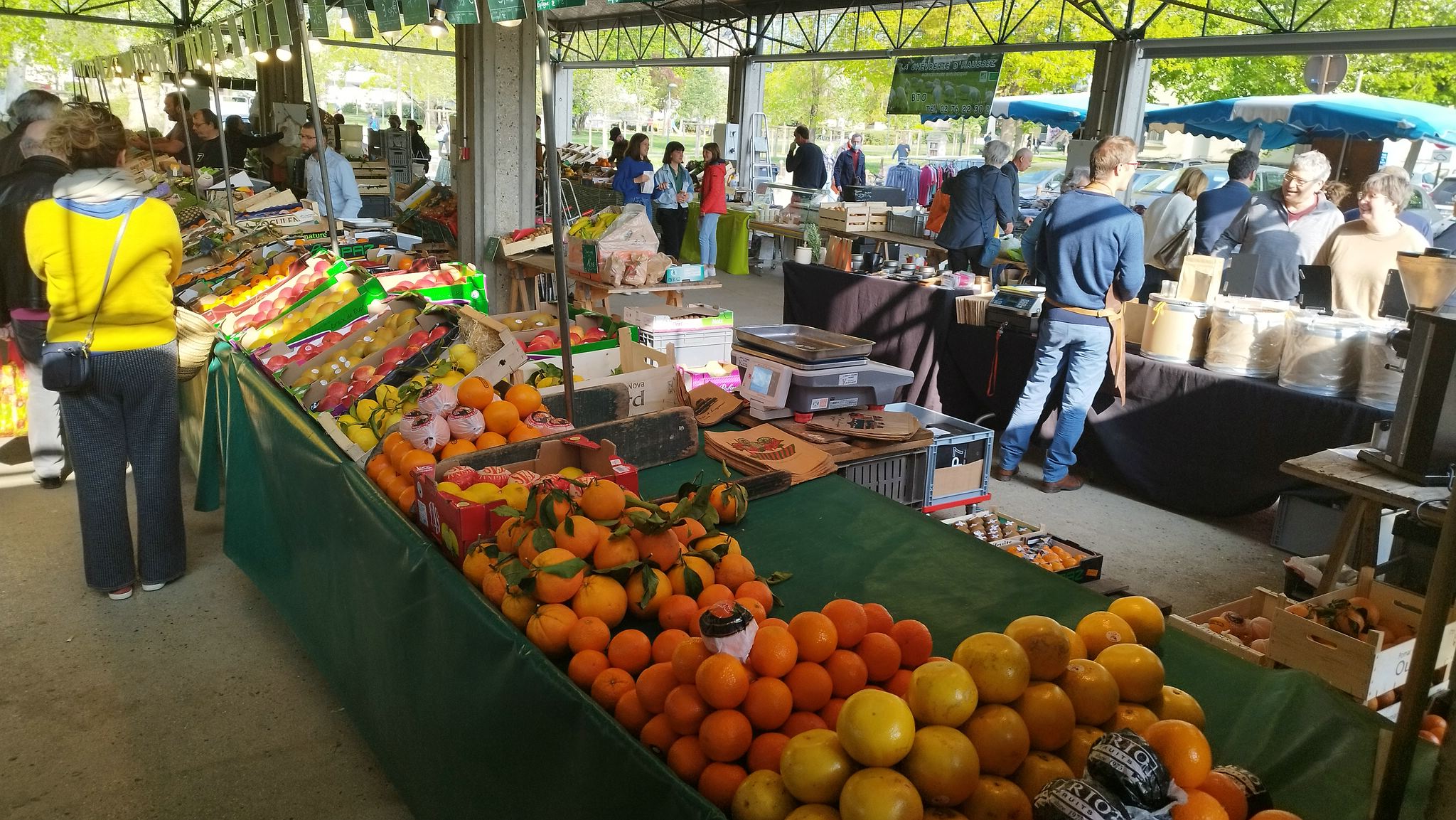 WEB IMG 20220424 094909